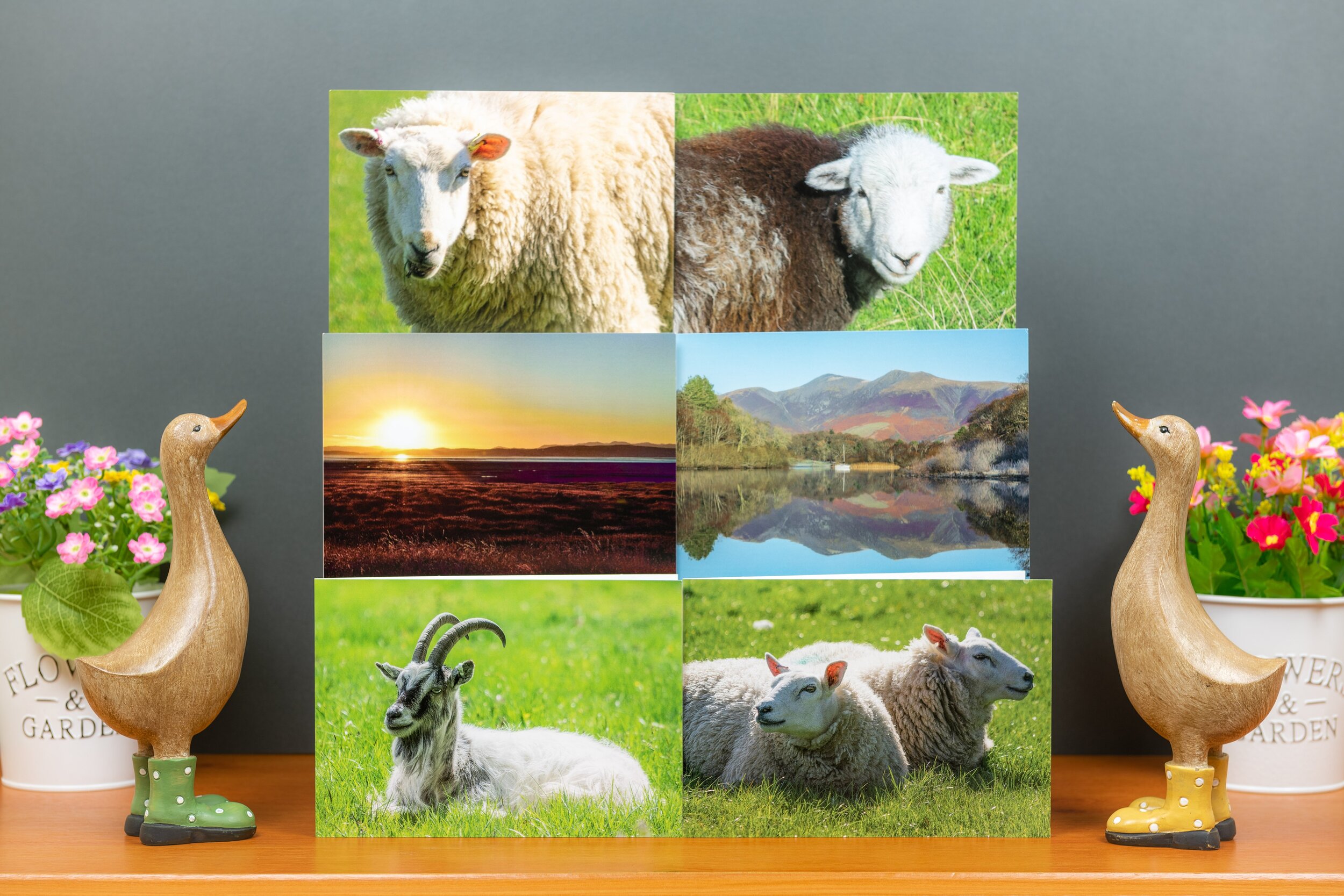 Six Greetings Cards ~ Mixed Pack B