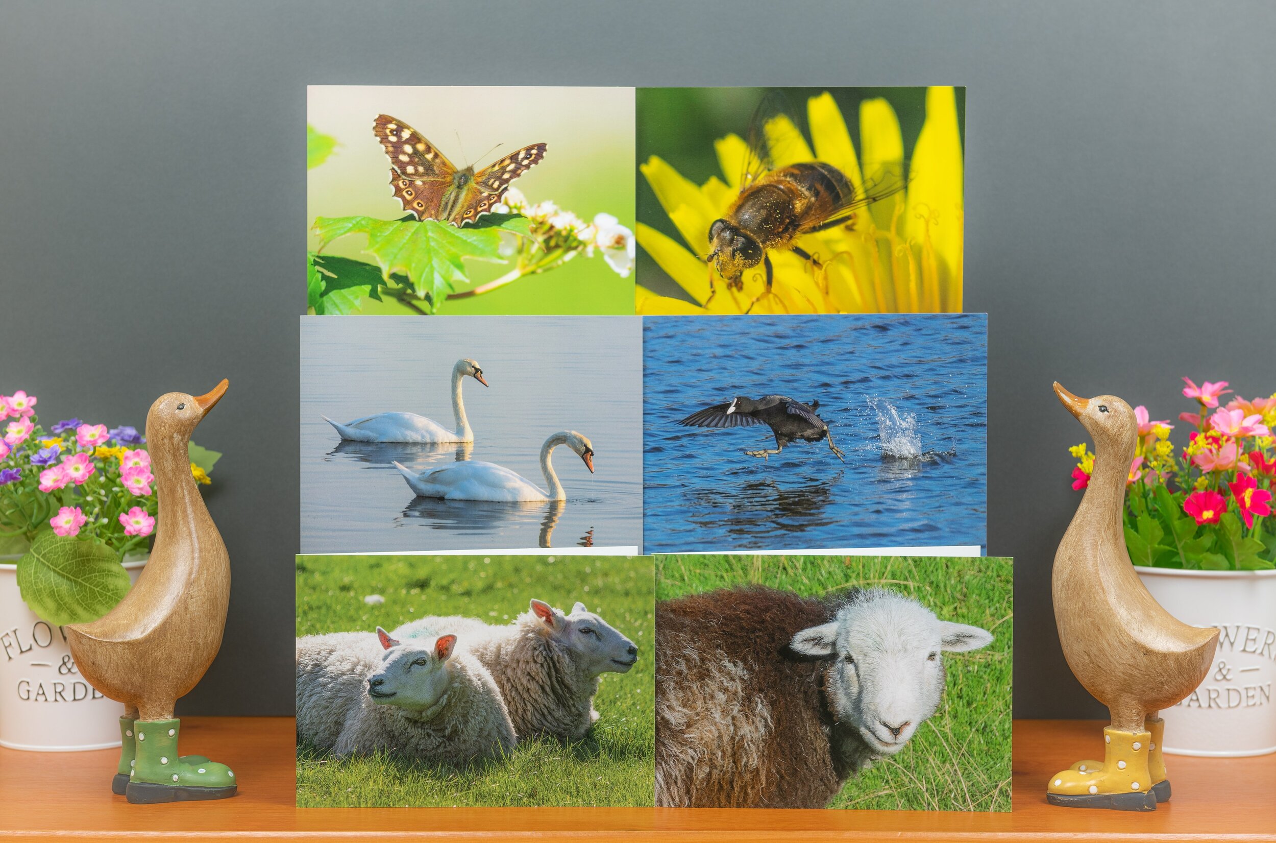 Six Greetings Cards ~ Mixed Pack D