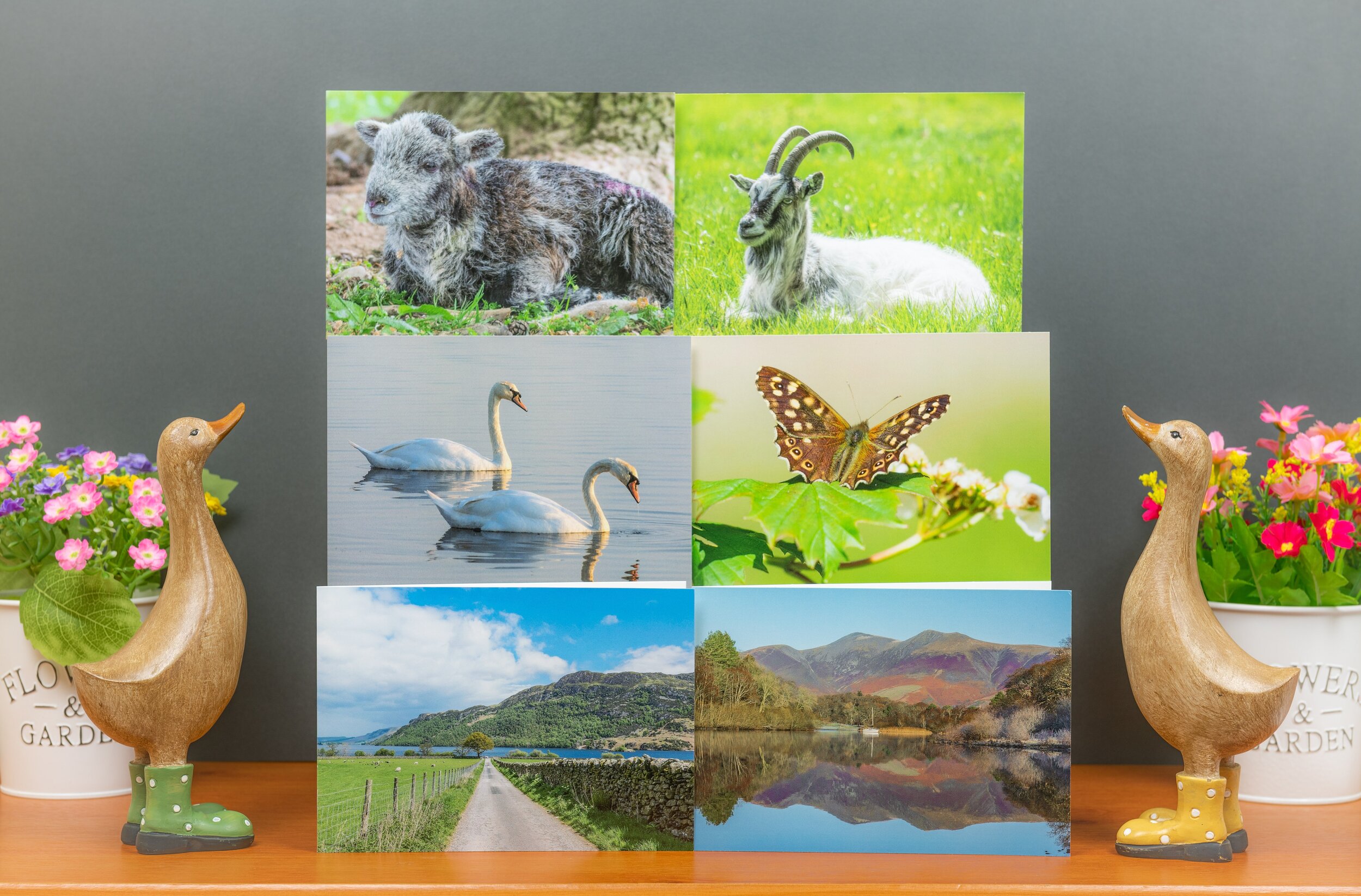 Six Greetings Cards ~ Mixed Pack E