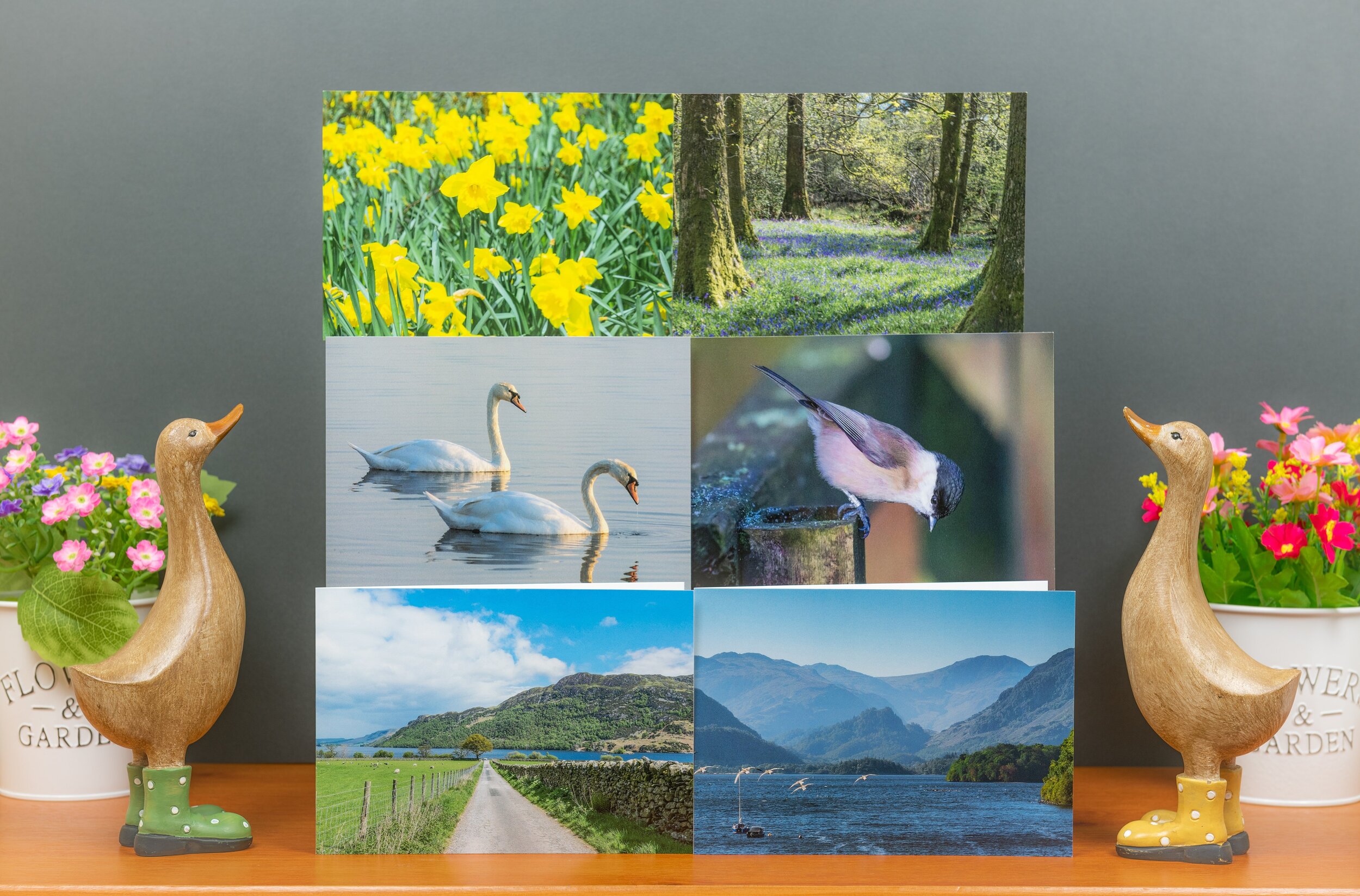 Six Greetings Cards ~ Mixed Pack F