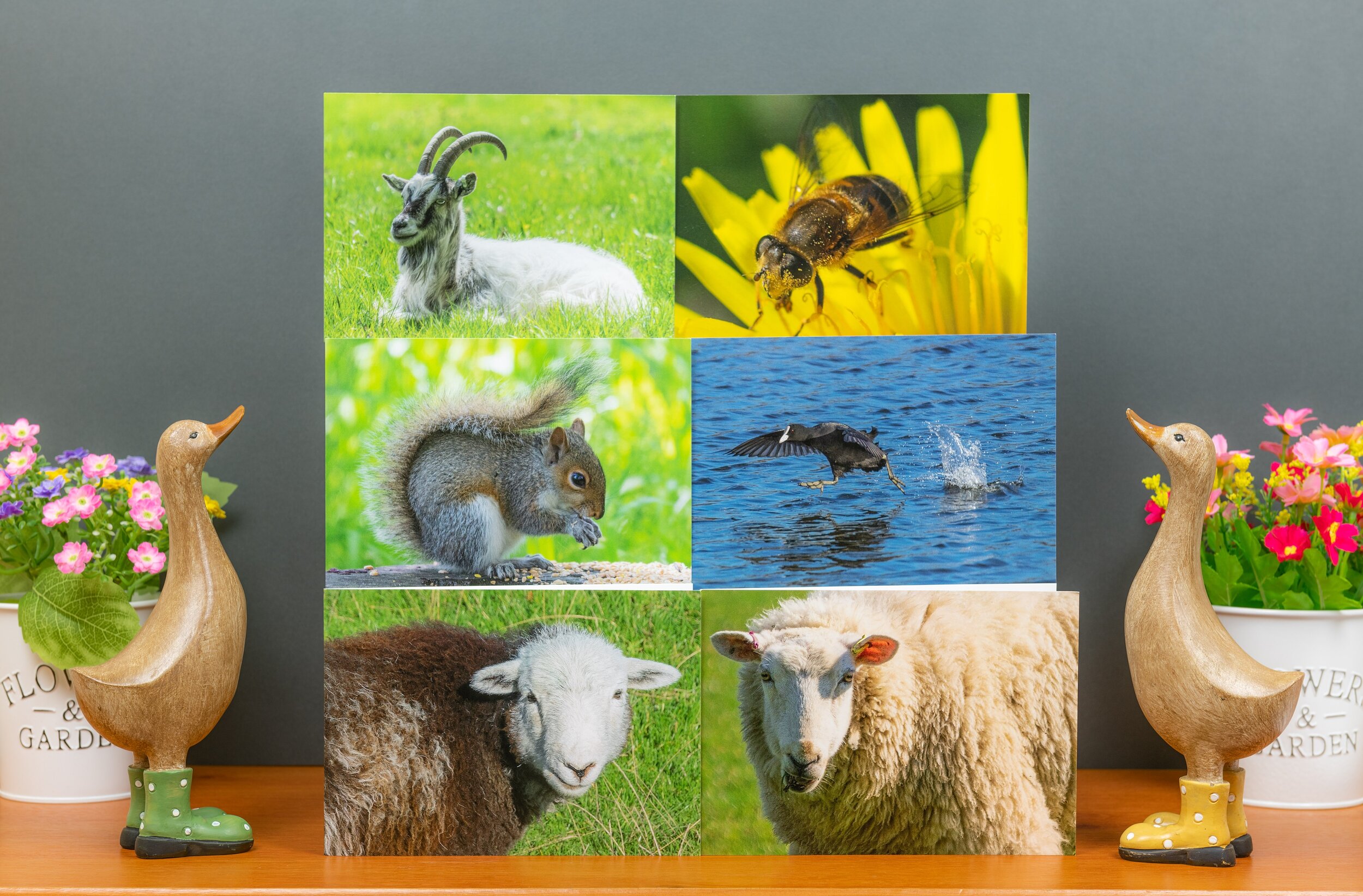 Six Greetings Cards ~ Mixed Pack G
