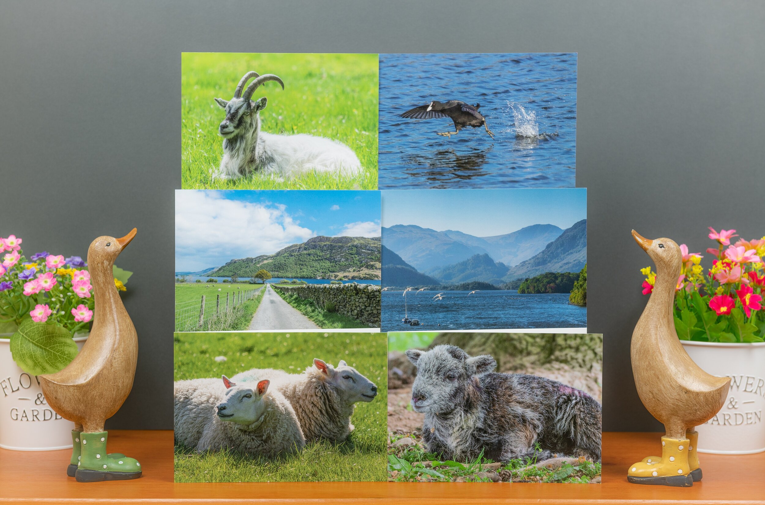 Six Greetings Cards ~ Mixed Pack H