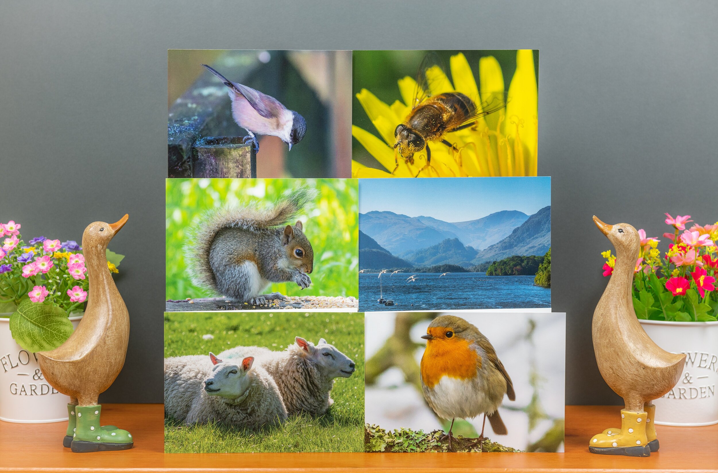 Six Greetings Cards ~ Mixed Pack I