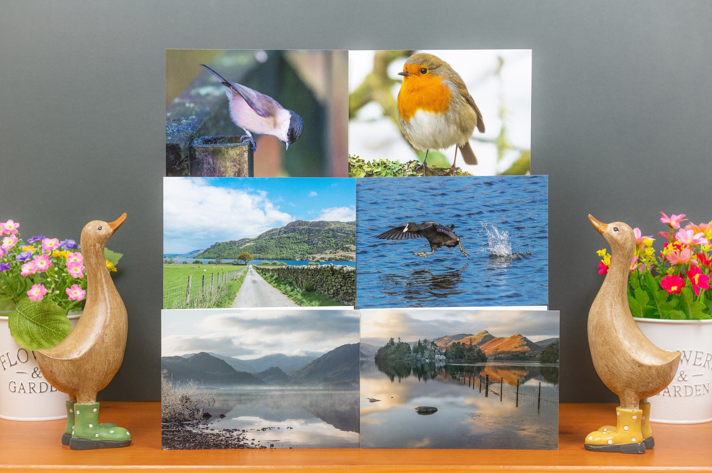 Six Greetings Cards ~ Mixed Pack J
