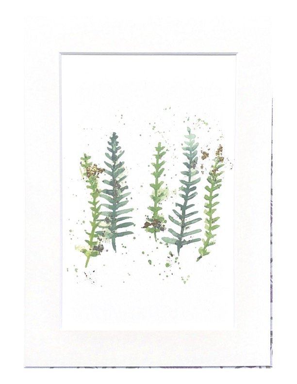 fern.jpg