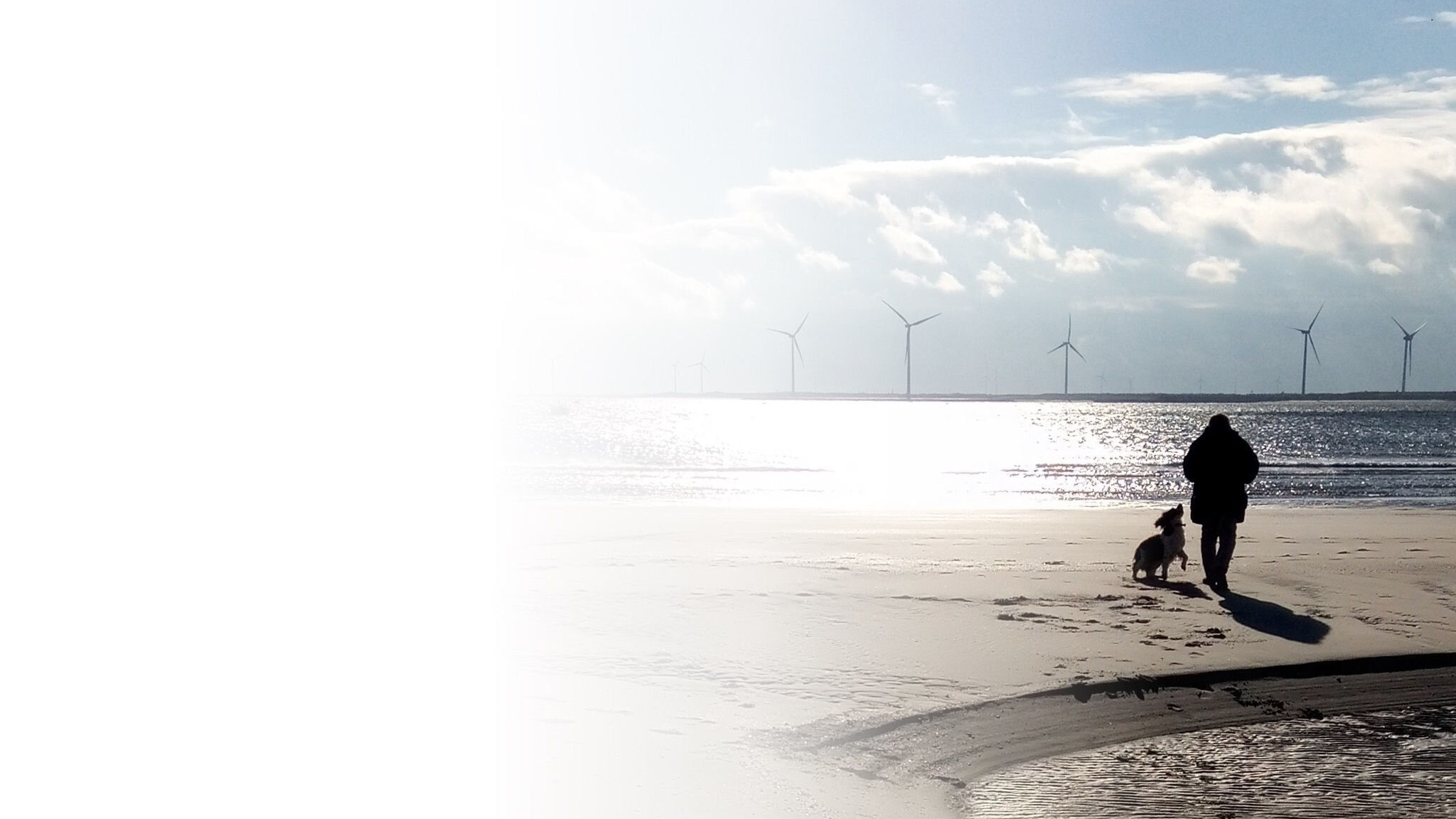 strand backgr transp wit vlak.jpg