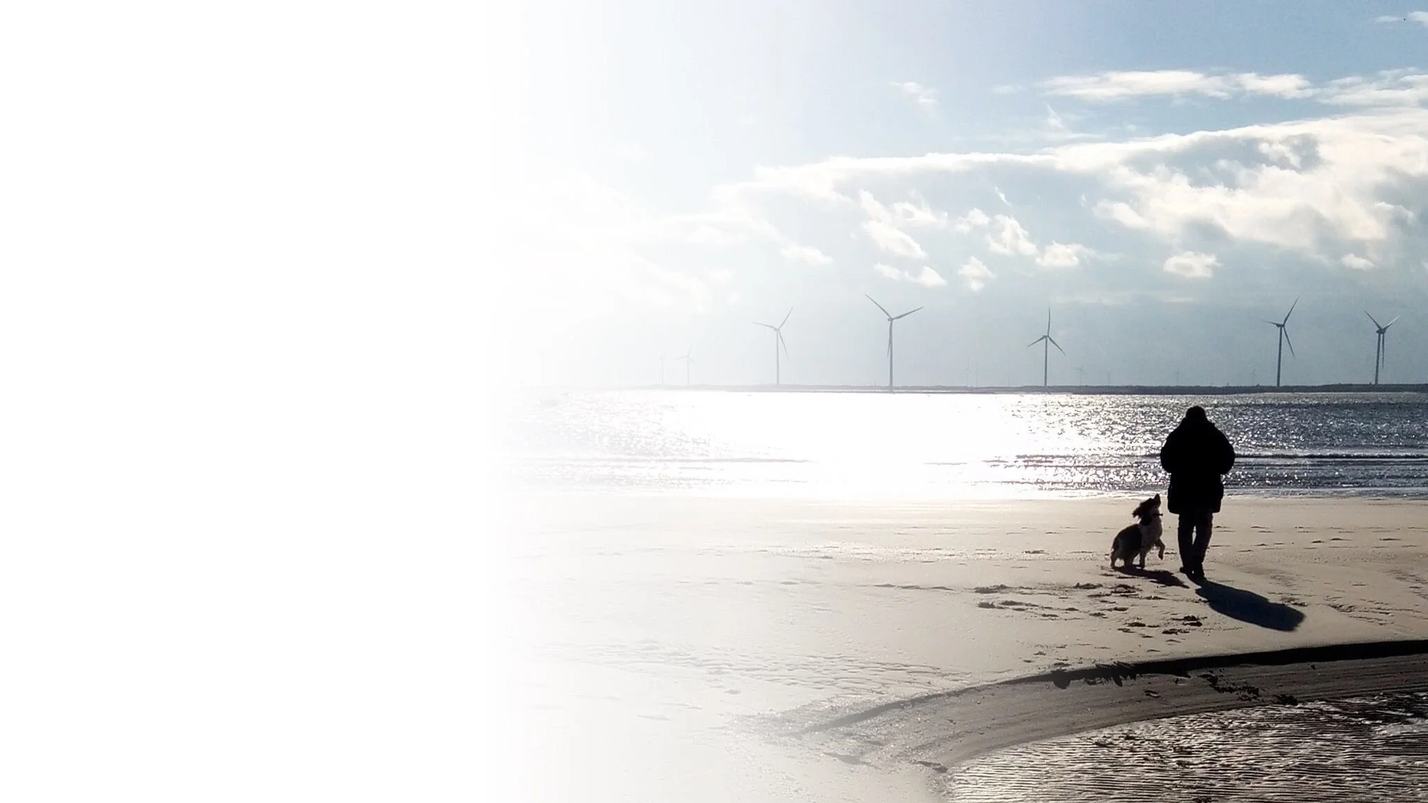 strand backgr transp wit vlak.jpg