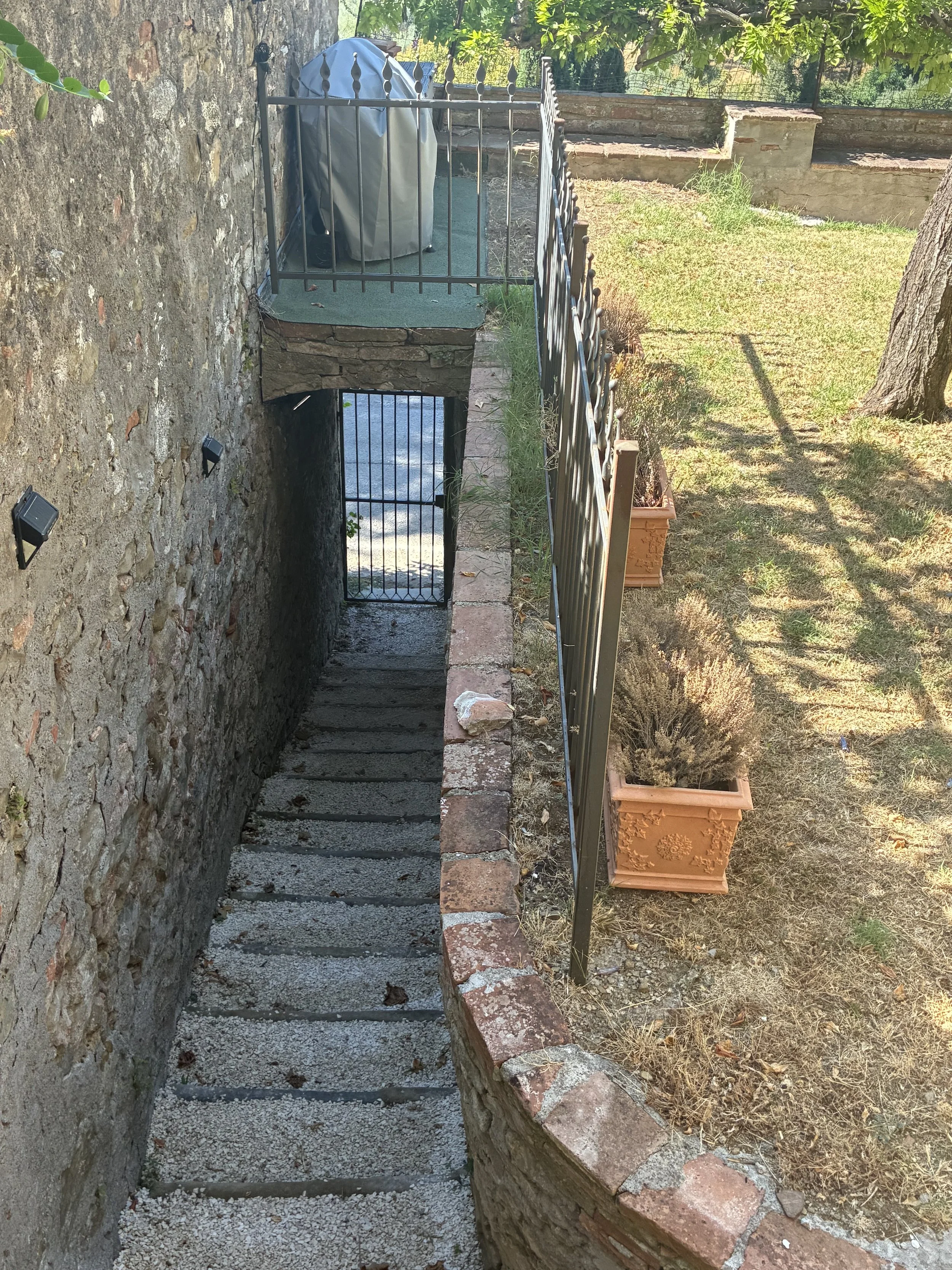 IMG_1956.jpeg