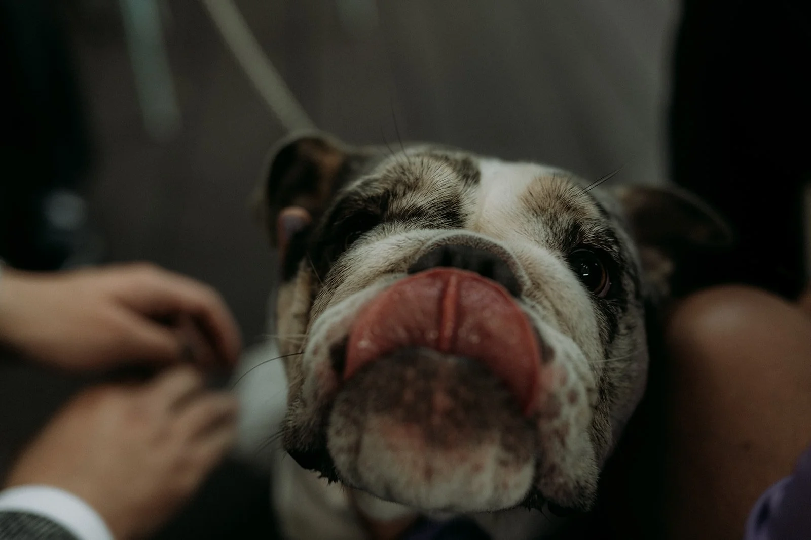 Izzy and Harry - Ducie Street Manchester 51.JPG