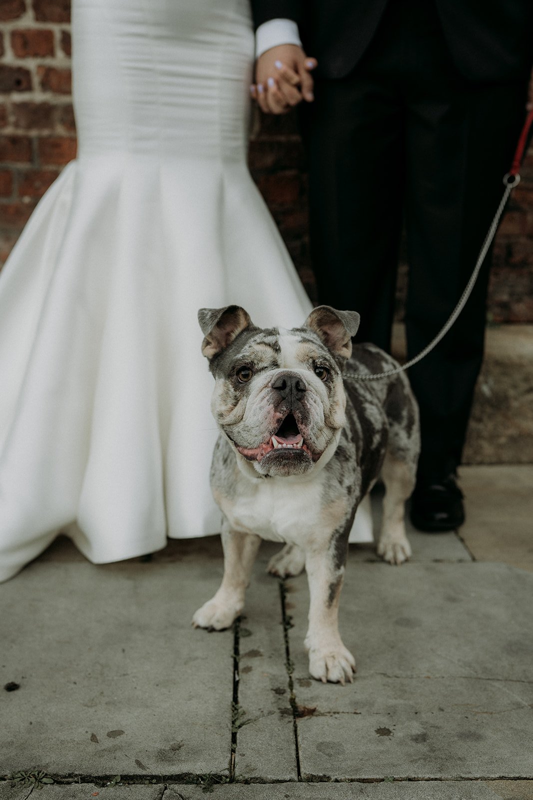 Izzy and Harry - Ducie Street Manchester 52.JPG
