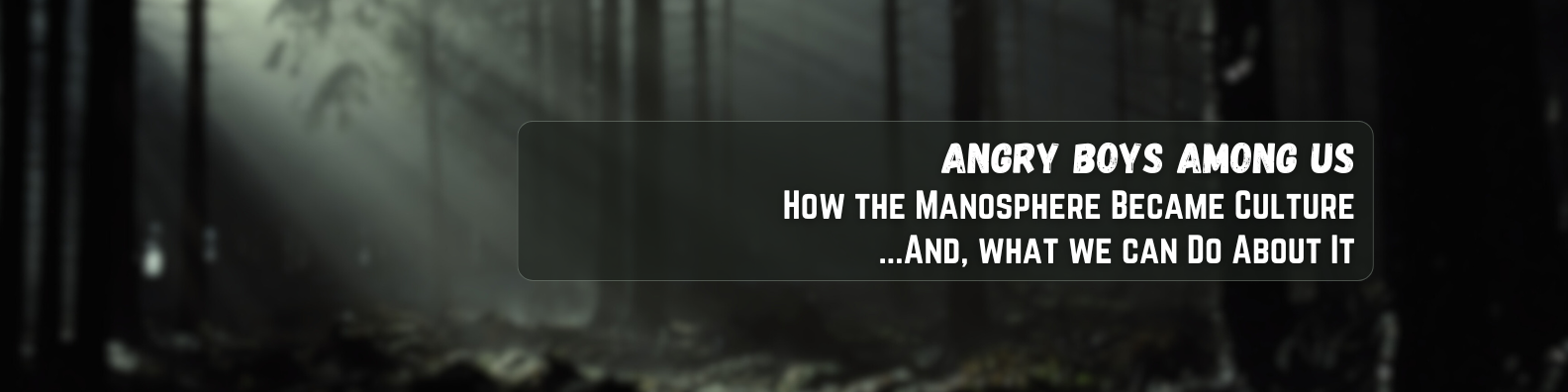 Angry Boys Among Us: How the Manosphere Became Culture and What We Can Do About It