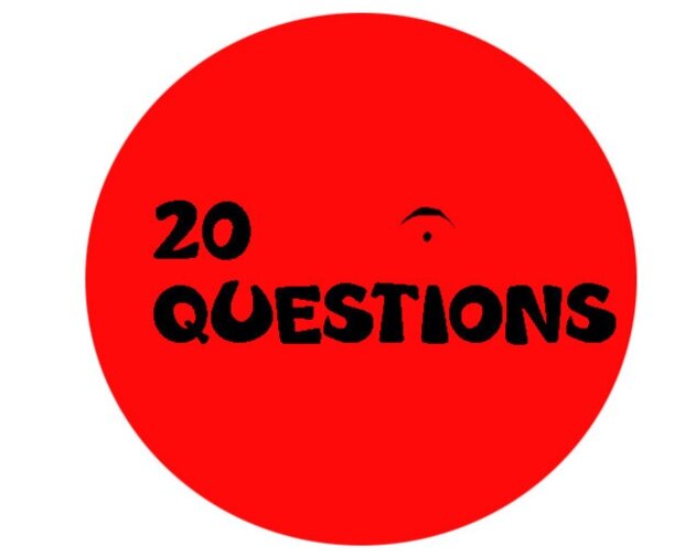 Twenty Questions