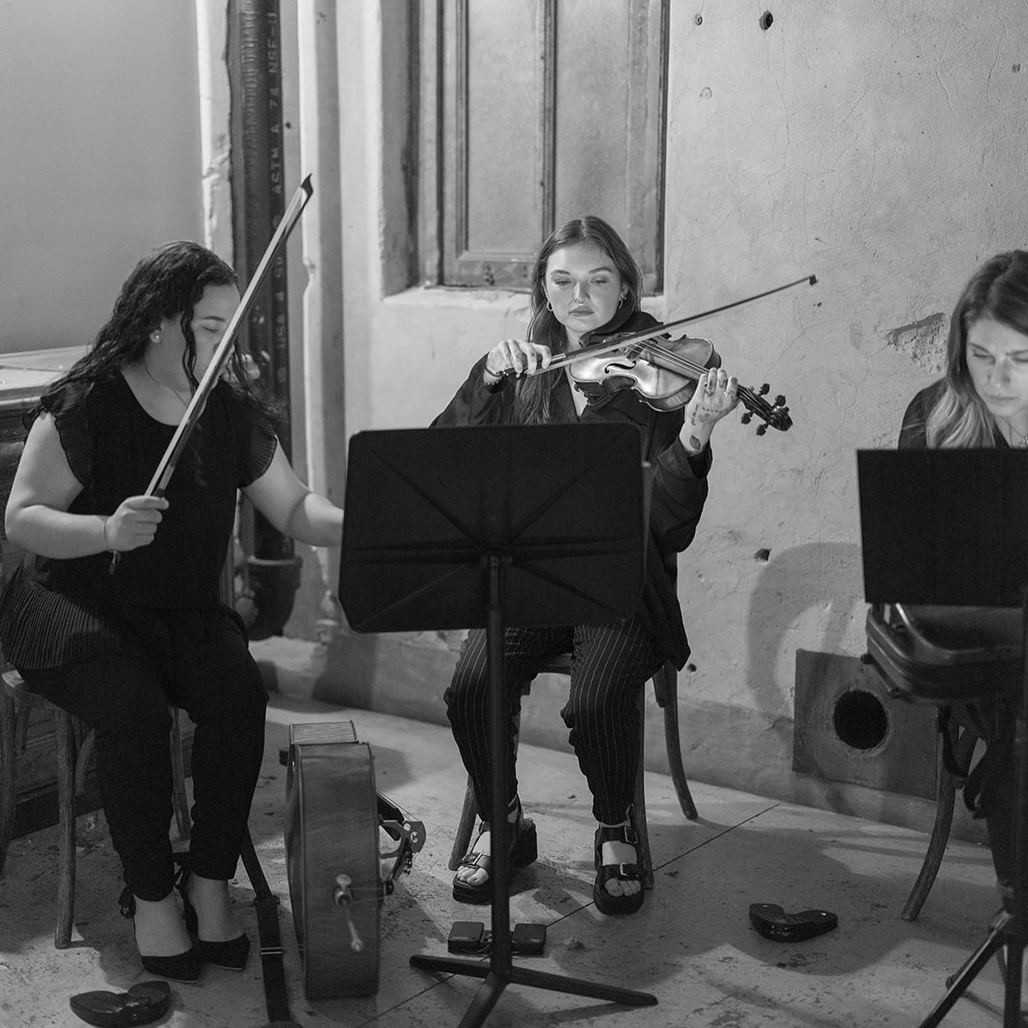 From Lauren and Rob&rsquo;s wedding 🖤🤍 
-
Bride: @senoritahamburguesa 
Photos: @carriekingphotographer 
Coordinator: @bridget_mary_weddings 
Venue: @charcoalfactoryloft 
Catering: @lulacafeevents 
Florals: @floristhounddesign 
Hair: Lia at @nikavau