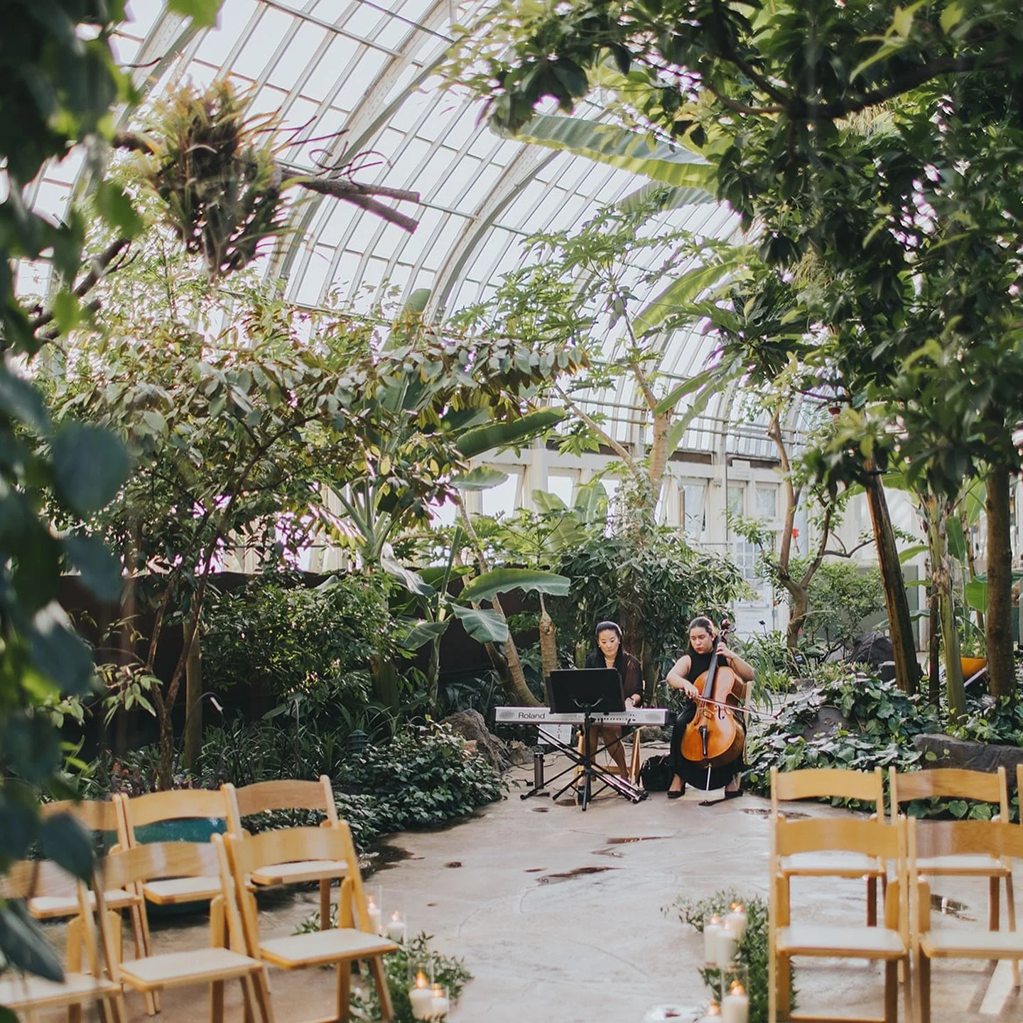 From Erin and Kyle&rsquo;s beautiful wedding at the @gpconservatory! 🌿

Photographer | @megadamikcreative 
Planner | @weddingdaychicago⁠
Hair &amp; Makeup | @pinmeupchicago⁠
Florals | @stevesflowermarket⁠
Venue | @gpconservatory 
Reception | @thedaw