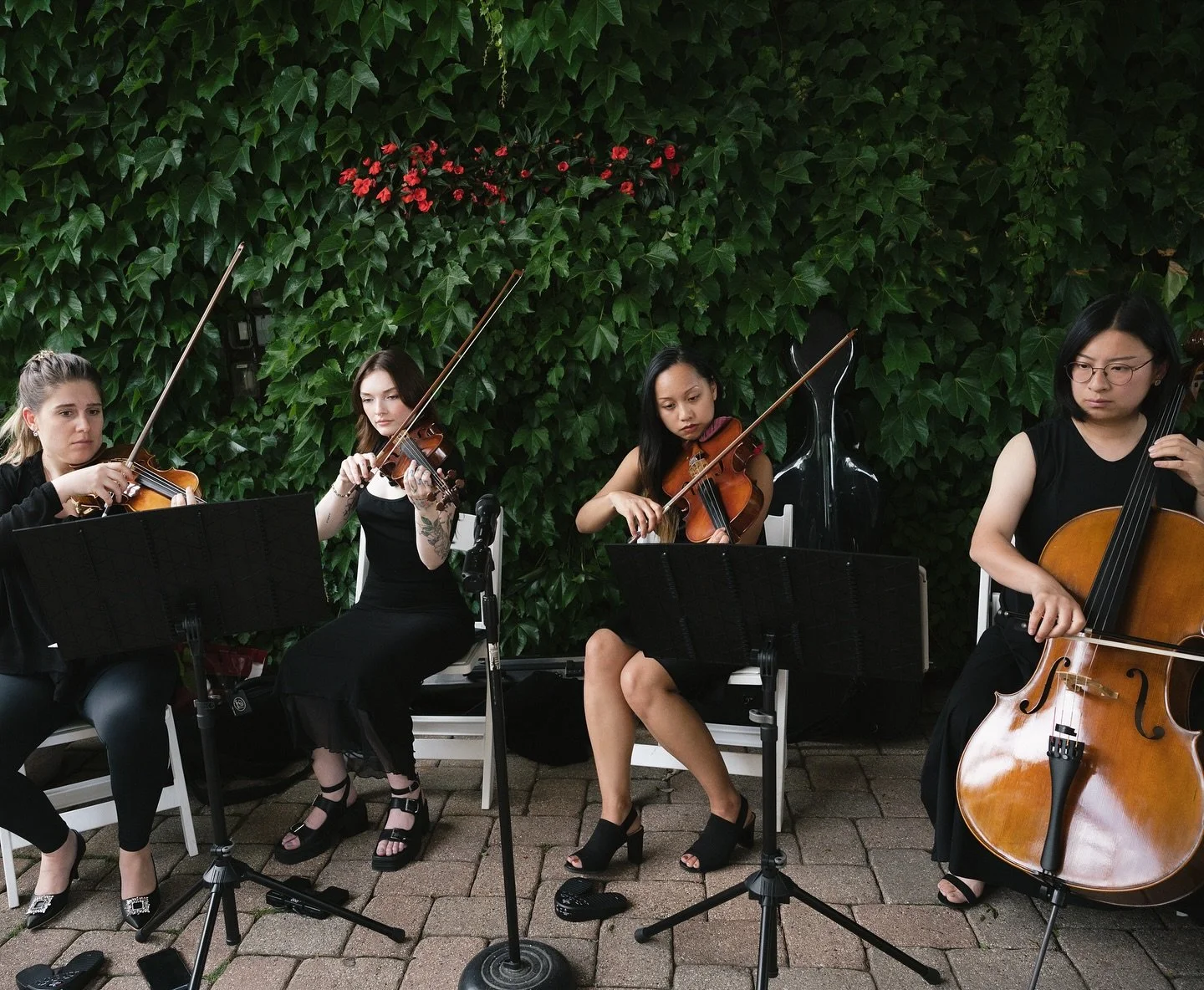 We would love to perform for your next event or your special day.
✨ Send a DM
✨ Email us at midtownstrings@gmail.com
✨ Get in touch 📞
-
Photos: @marysheltonphoto 
Venue: @galleriamarchetti 
Planner: @lionheartedevents 
Hair + MU: @beautybyannkrause 