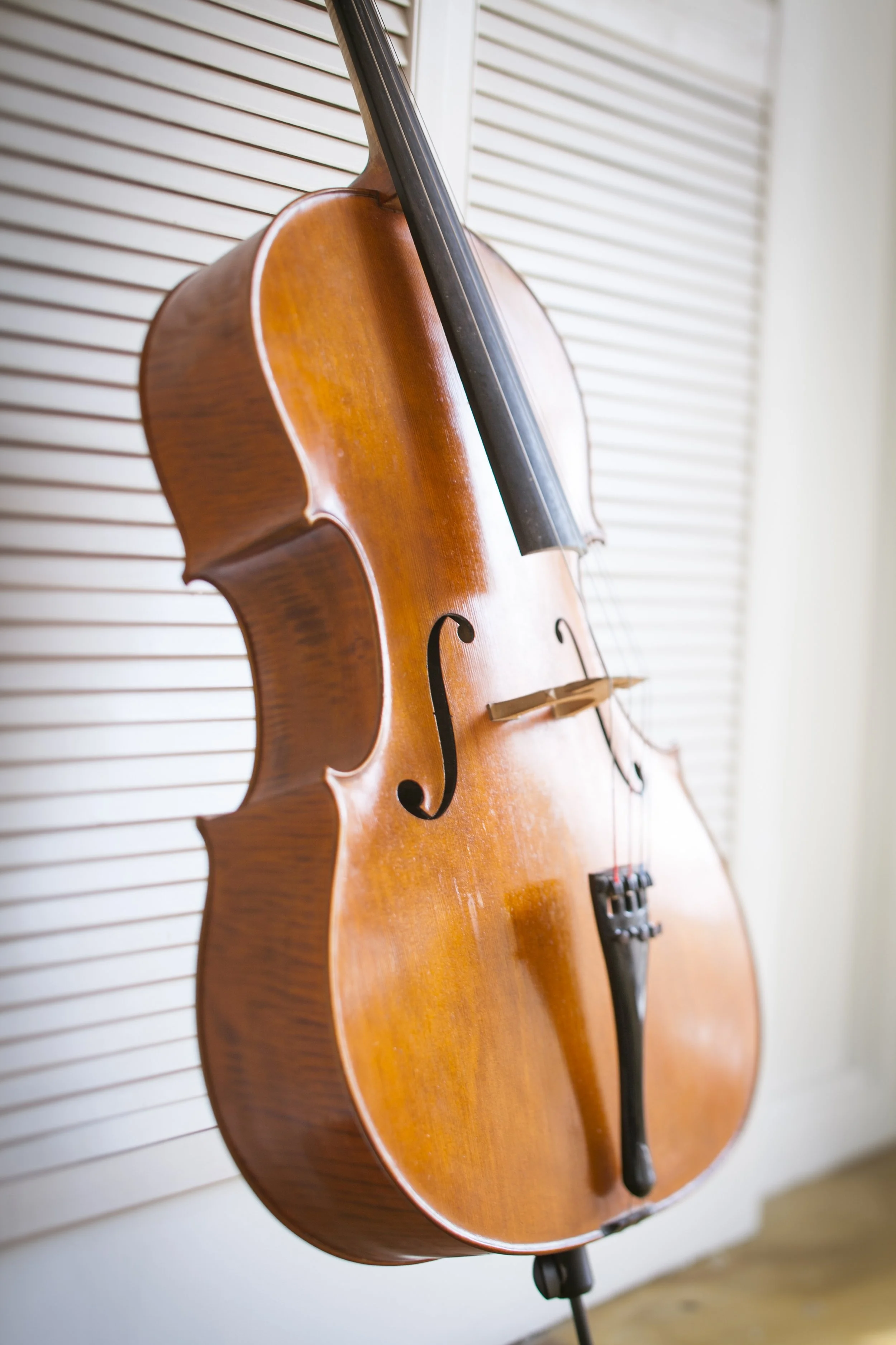 cello