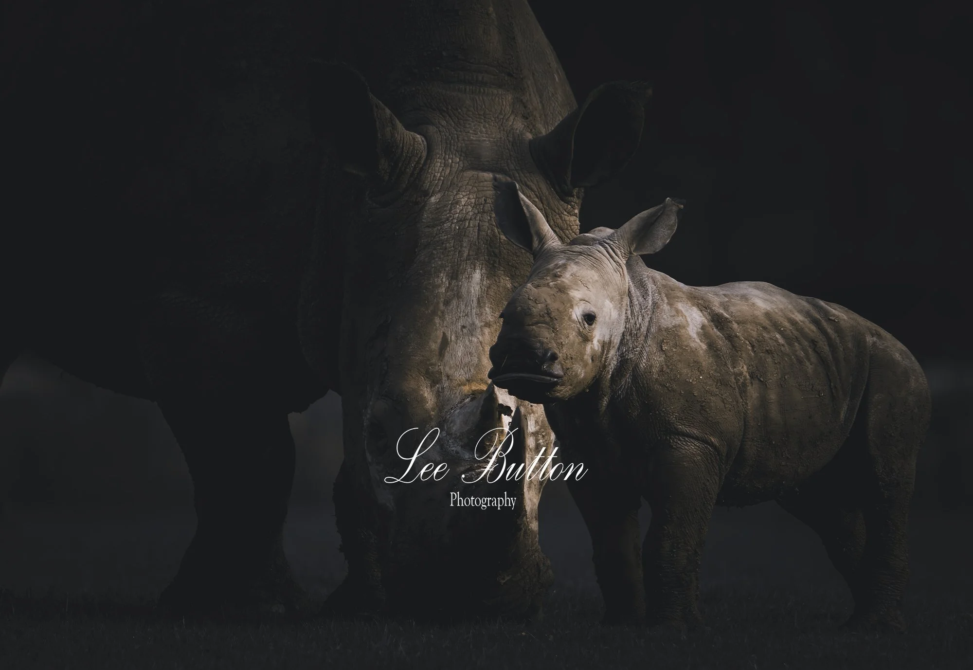 I told you not to play in the mud