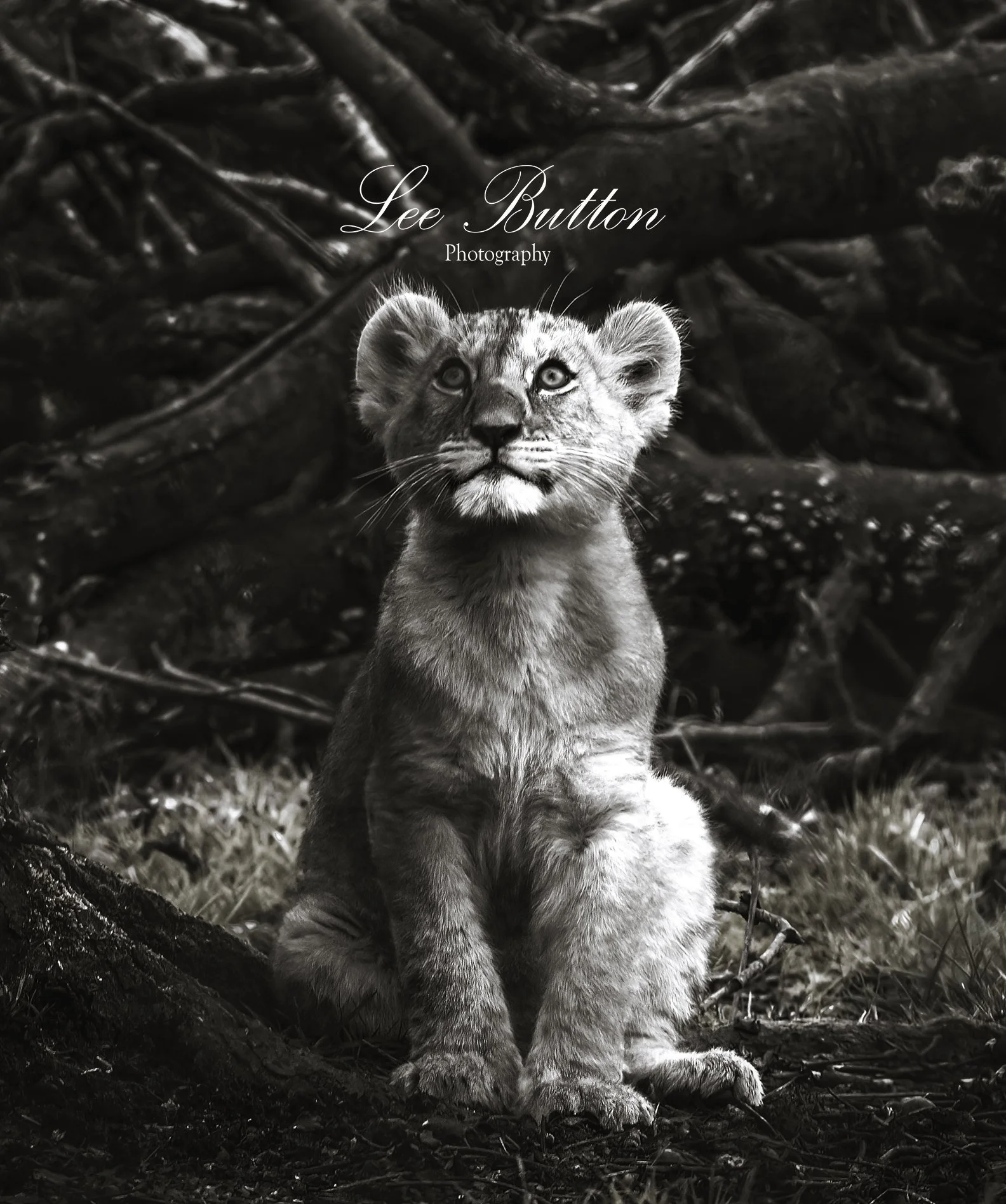 Please God let me win the lottery