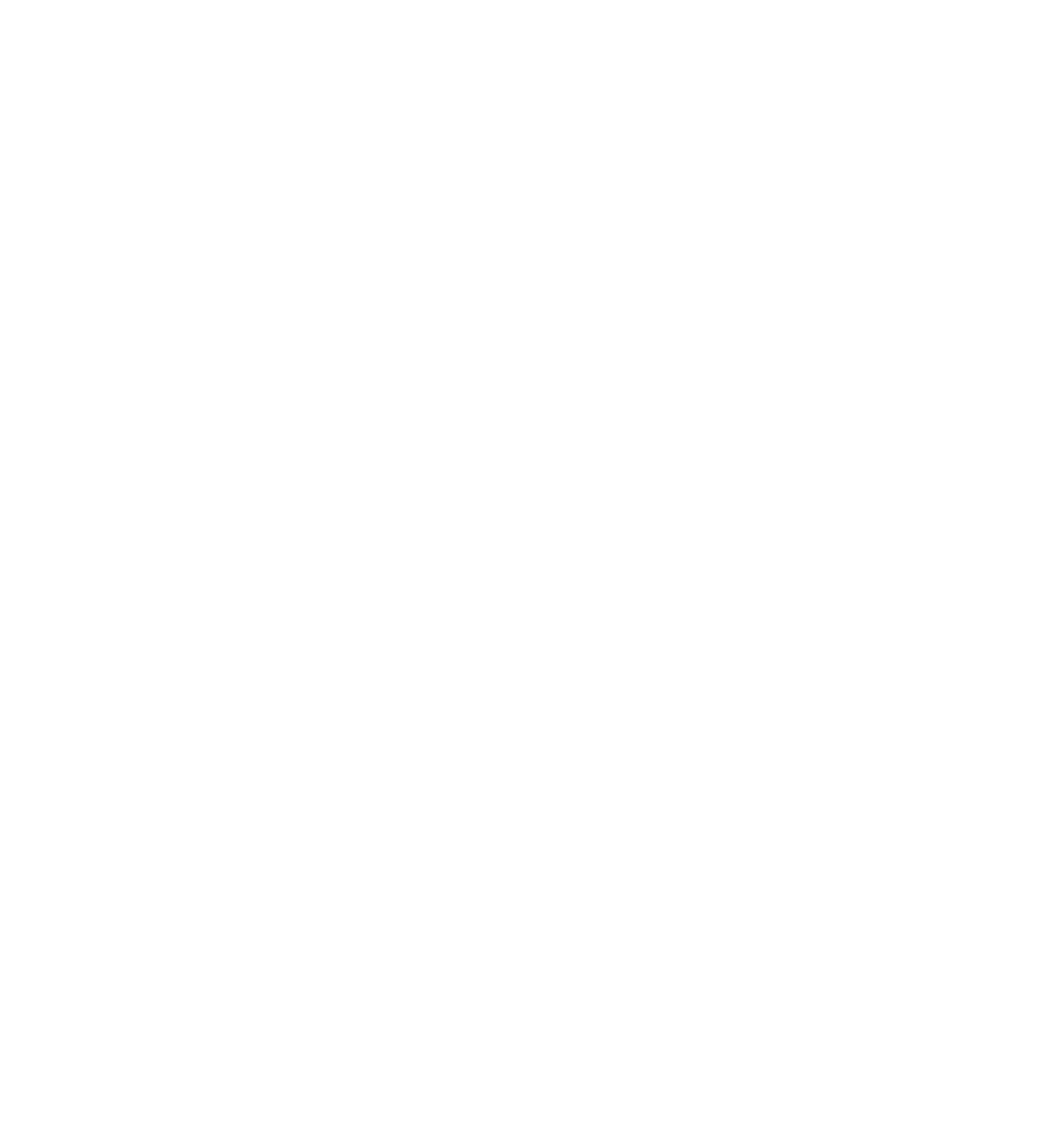 CARBON NEKO