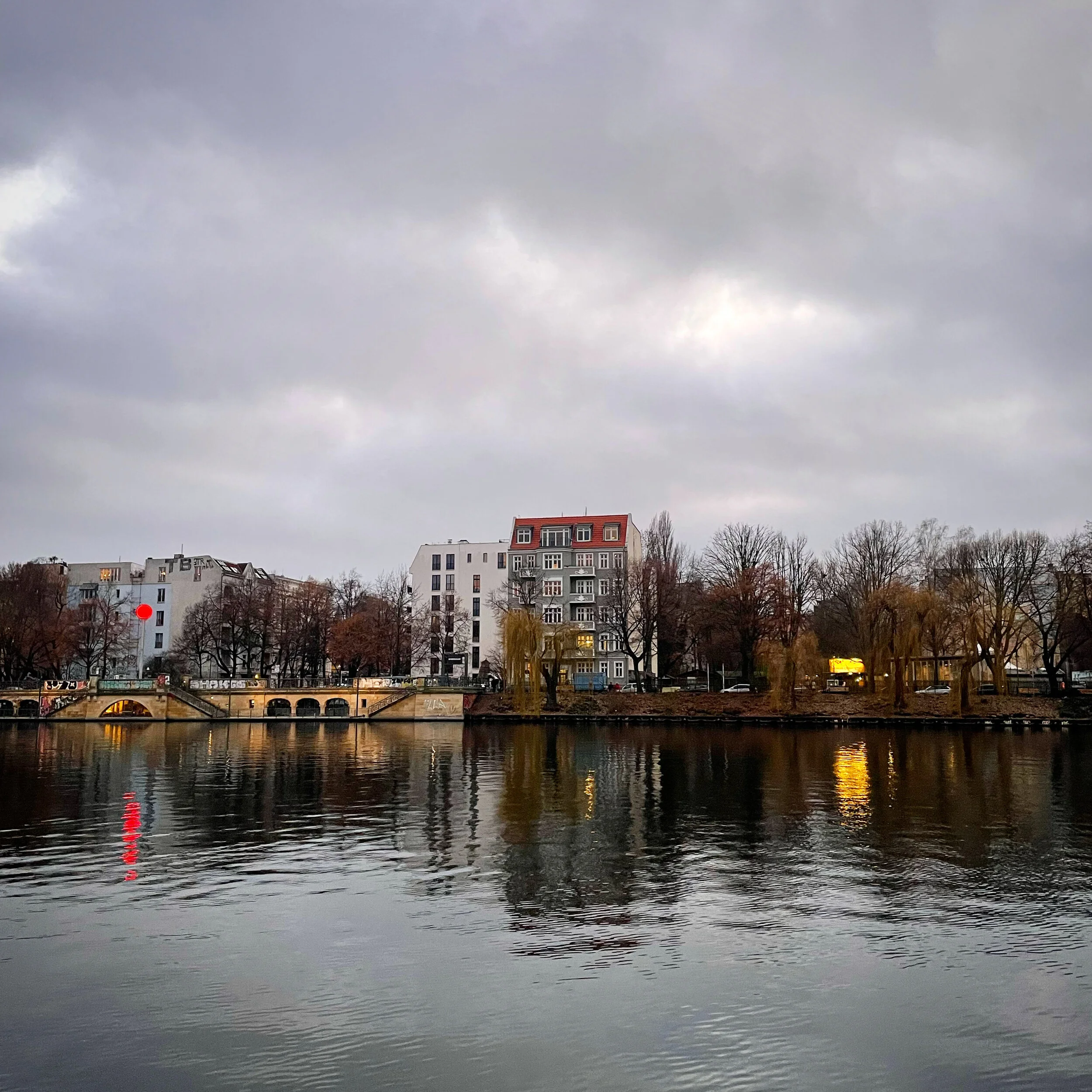 Cultivating Curiosity