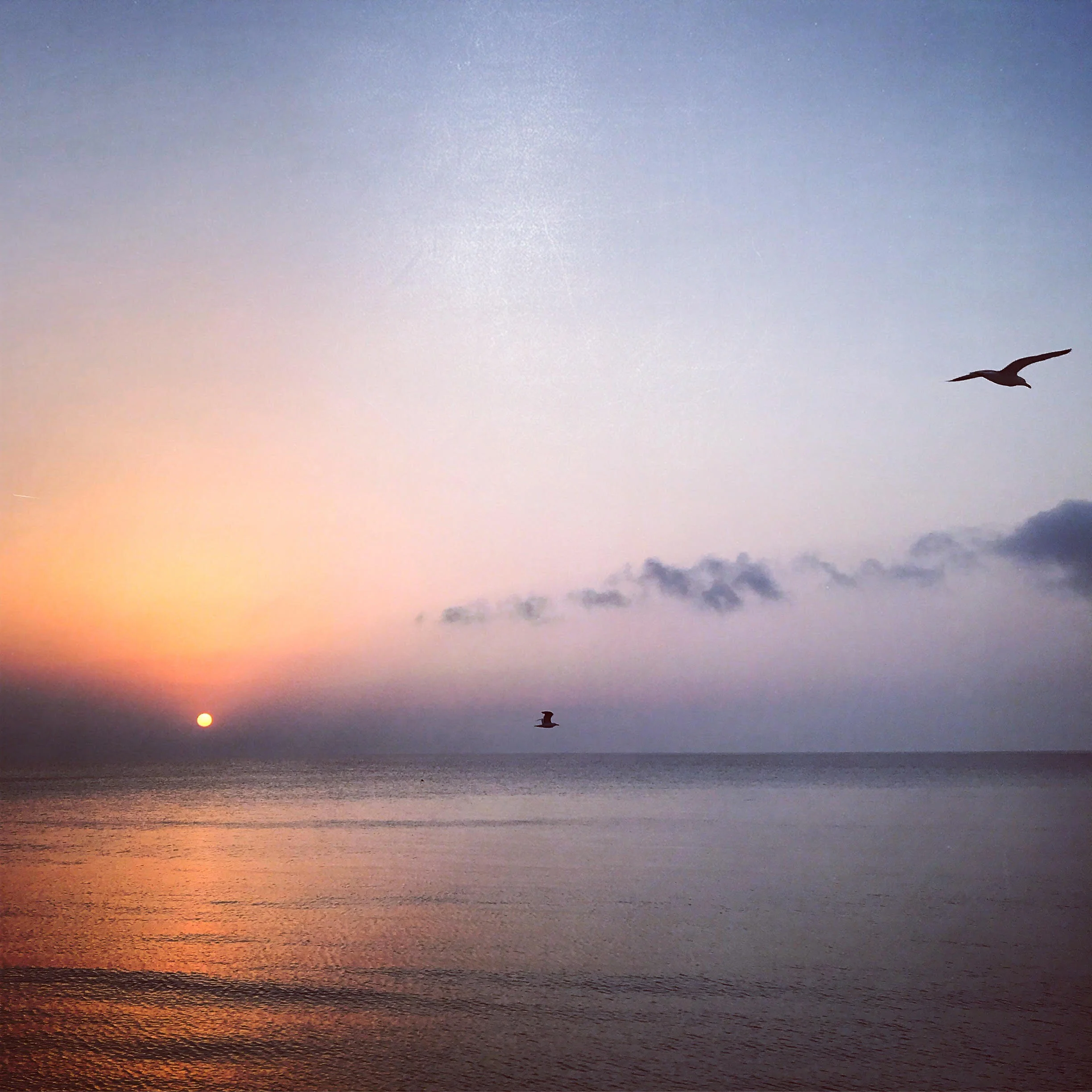 Let Your Imagination Fly