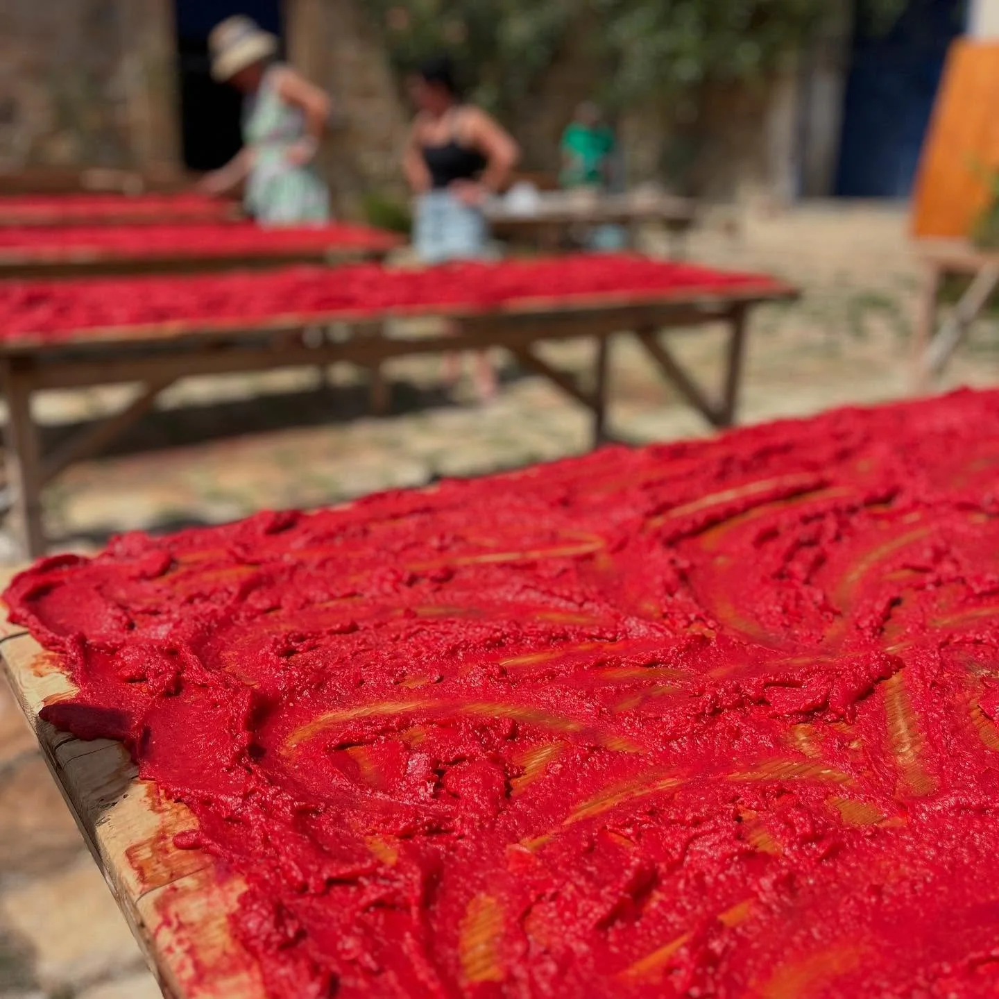 A week at @annatascalanza 🍅 made better by an amazing team, old friends, new friends, and lots of love: for good food, good people, and place that always feels like home ☀️ 

All the best bits of @annatascalanza 🍝 I could live at the breakfast tabl