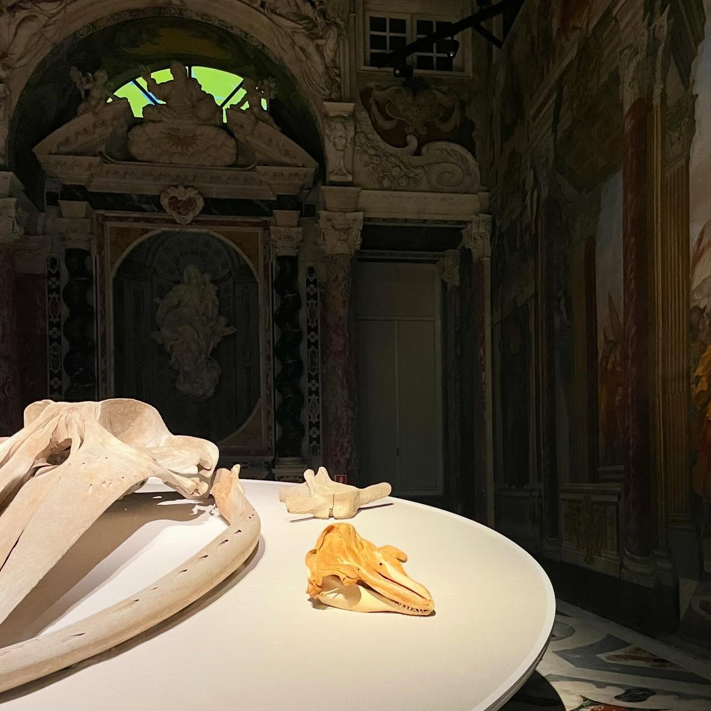 A taste of Nantucket in Genova 🐳 

Got an insiders tour of this beautiful exhibit on Moby Dick at Genova&rsquo;s @palazzoducalegenova ✨ it was amazing to see the art and collectibles that one of history&rsquo;s most diffused books has generated. Muc