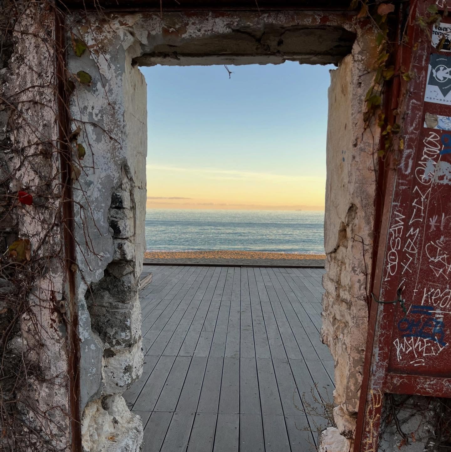 Keeping my eye on the horizon 🌅

Trying to stay steady in these darker, colder days. Looking for little hints of beauty where I can. Amazed at what the year brought, curious about what a new year will bring, and grateful to have the time and space t