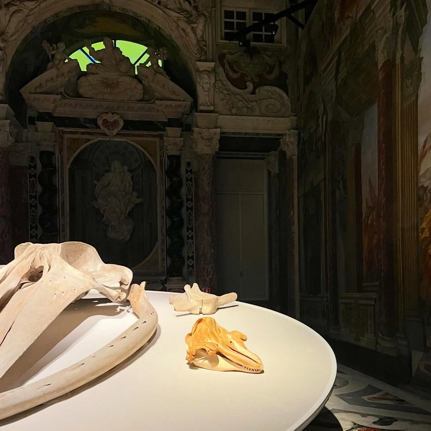 A taste of Nantucket in Genova 🐳 

Got an insiders tour of this beautiful exhibit on Moby Dick at Genova&rsquo;s @palazzoducalegenova ✨ it was amazing to see the art and collectibles that one of history&rsquo;s most diffused books has generated. Muc