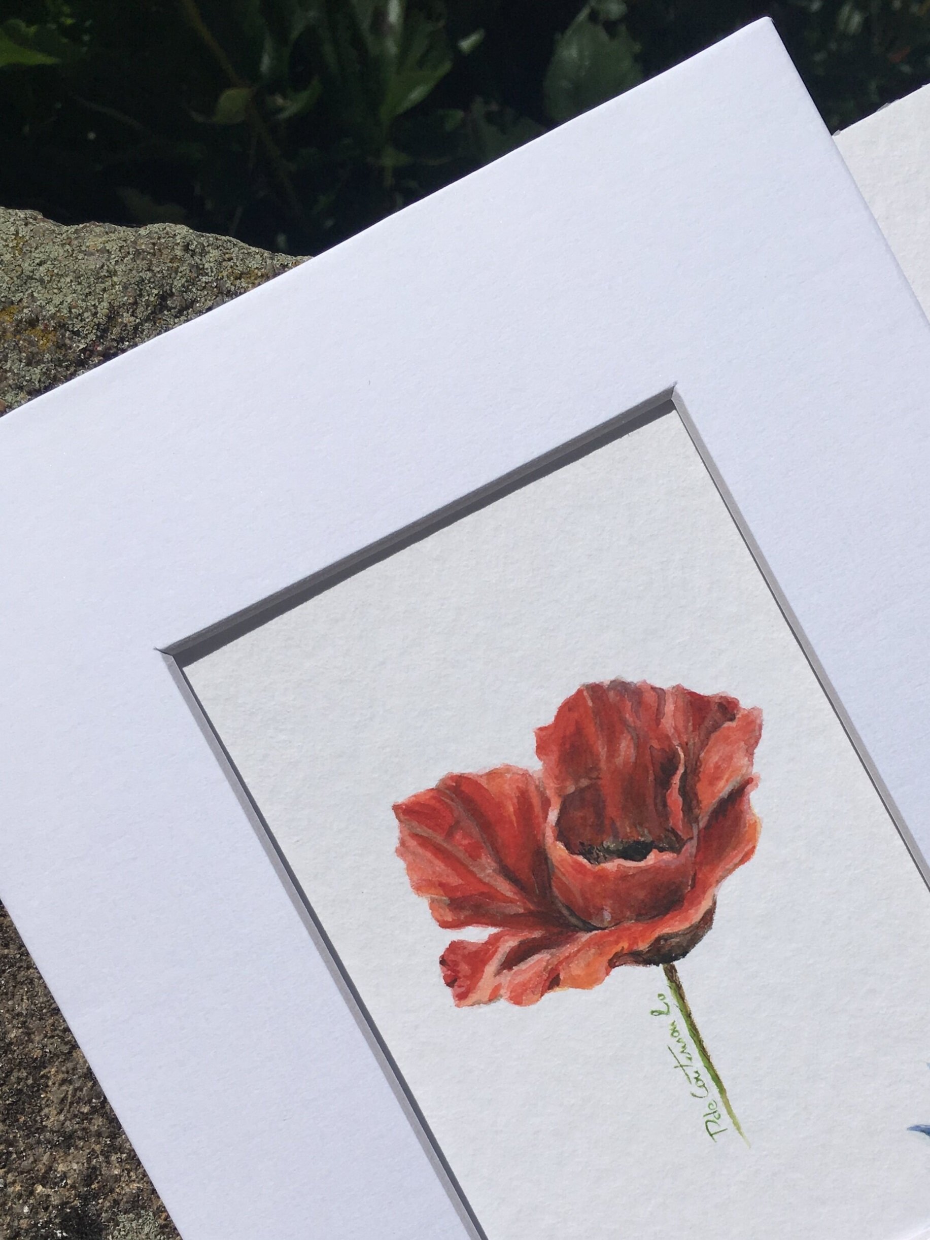 Noces de coquelicot - 8 ans de mariage