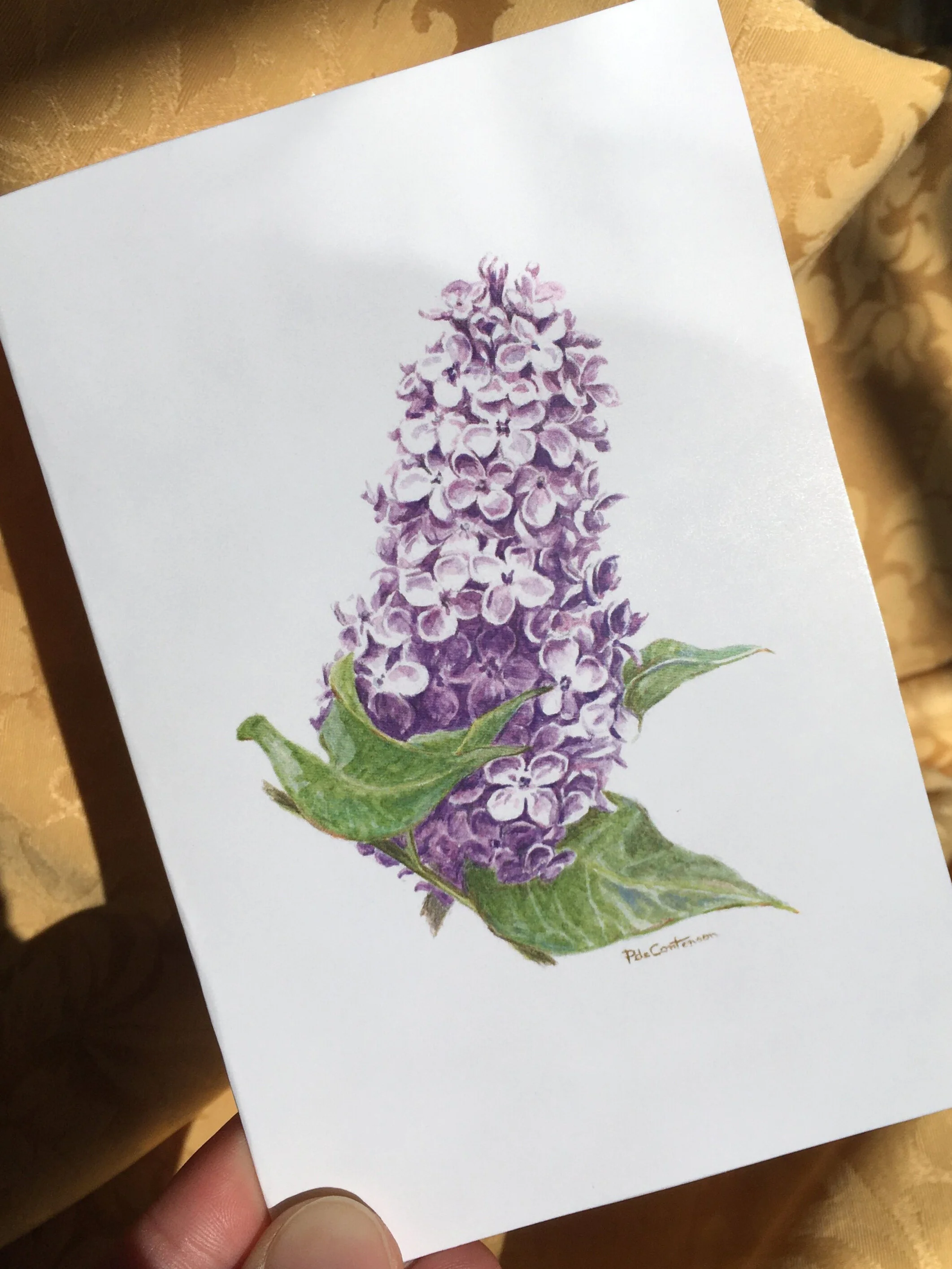 Carte à deux volets "Lilas"