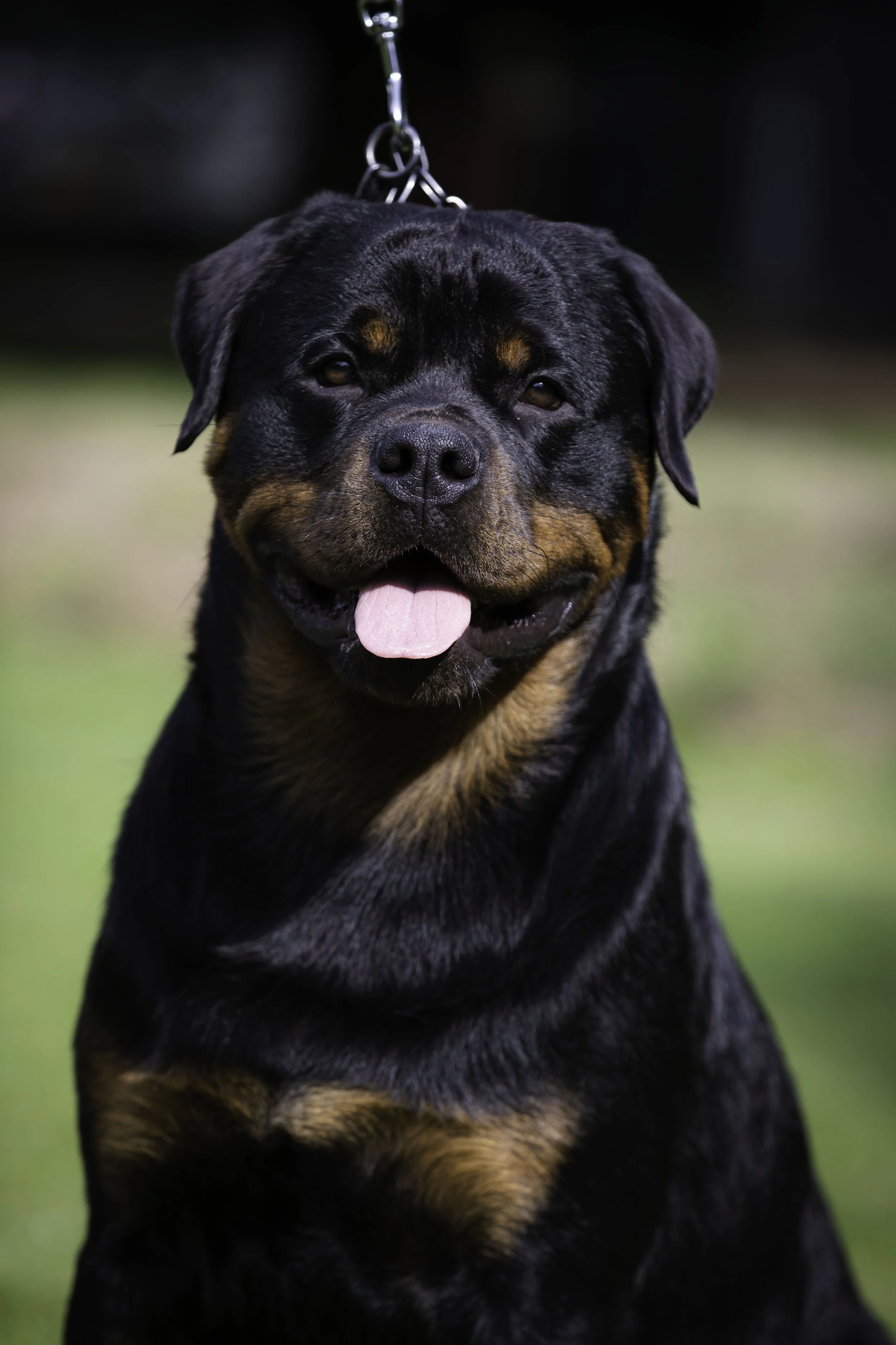 B90I8352-Edit copy.jpg