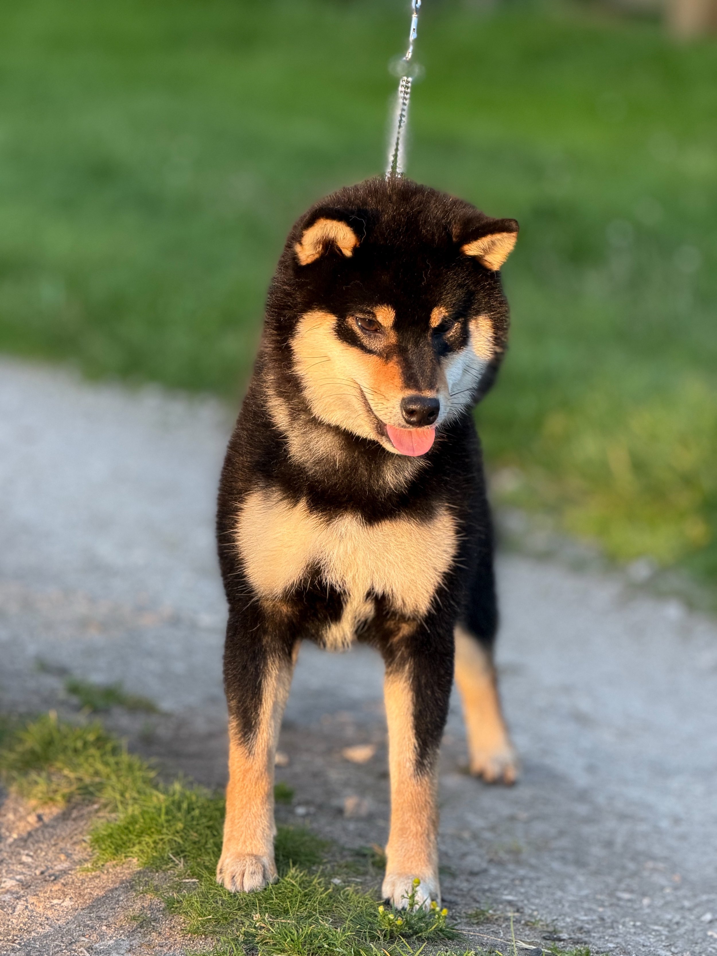 CE26A986-53F3-48B1-960D-8A2E1177978C 2.JPEG