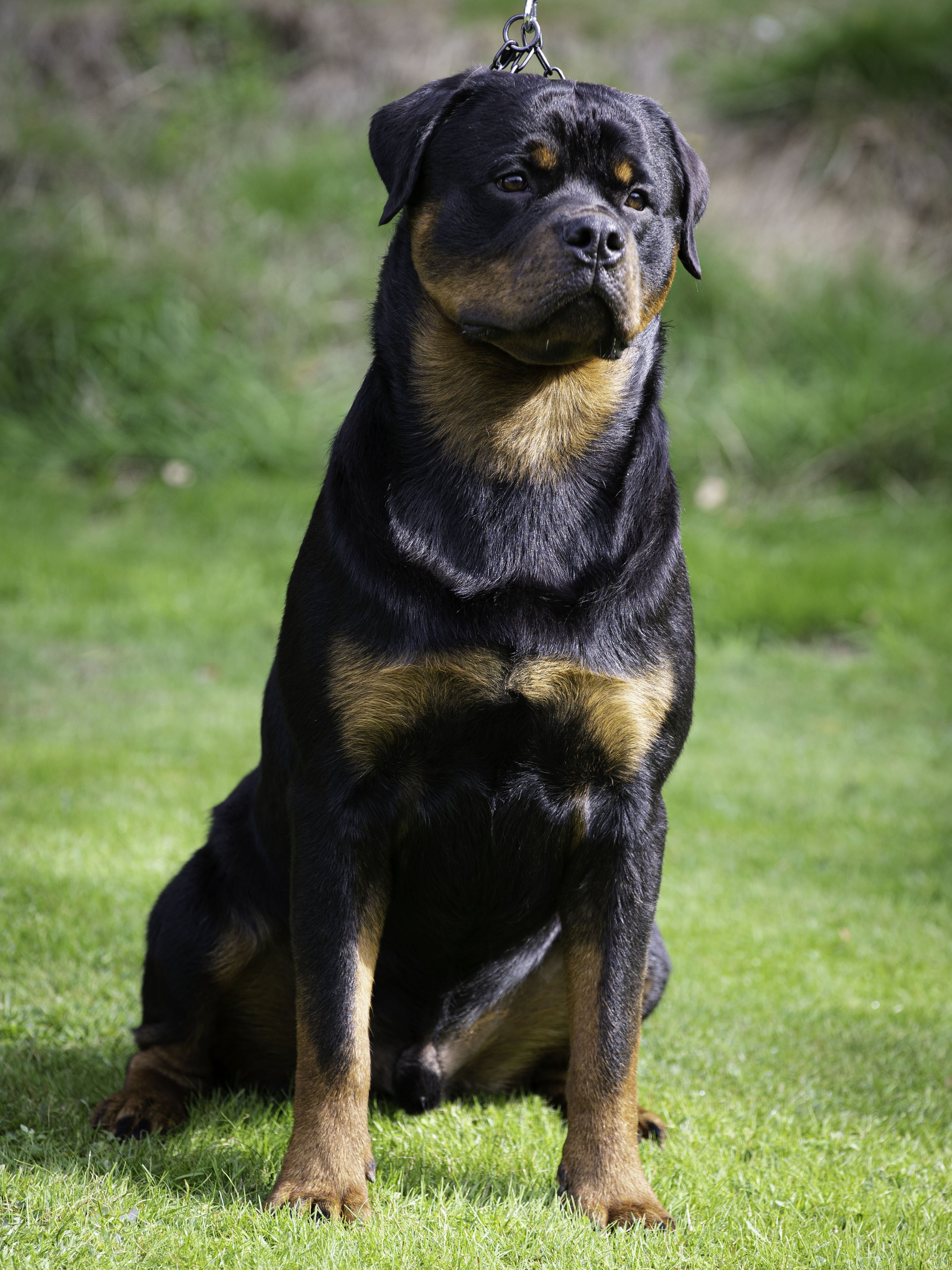 B90I8213-Edit copy.jpg