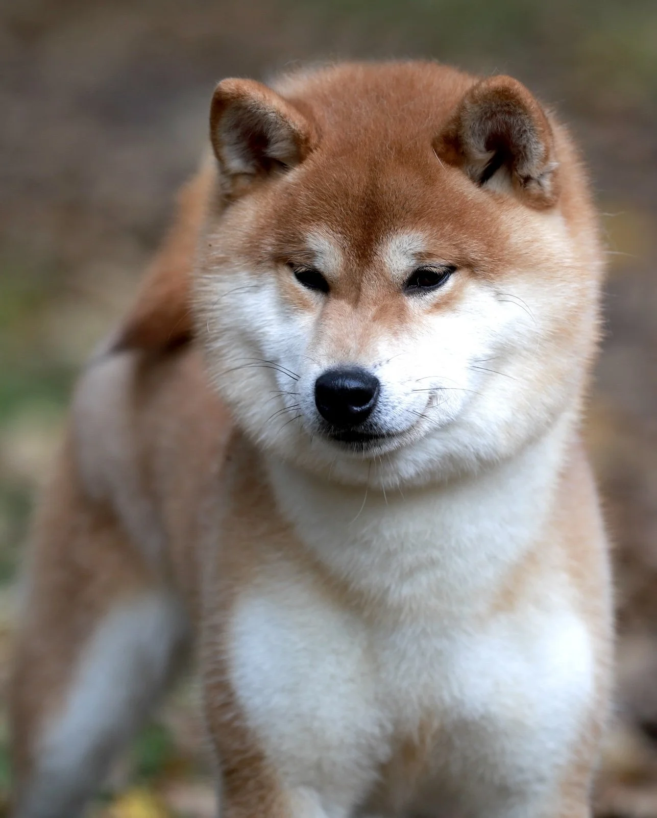 B90I6161-Edit copy.jpeg