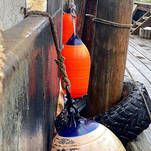 Back home
.
.
Come get &lsquo;em. Every Saturday 9-1pm at the dock.