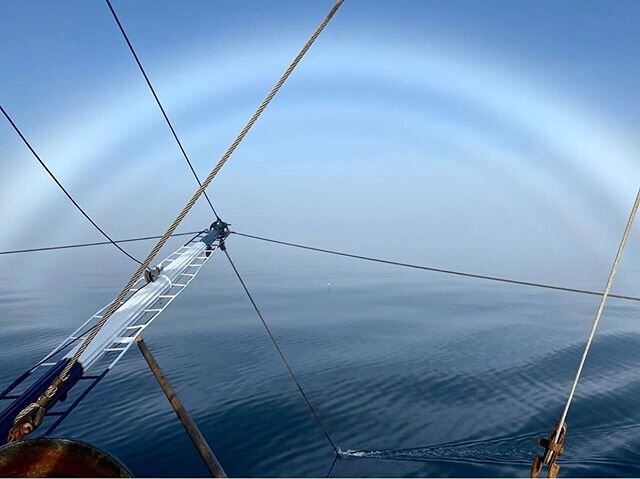 Have you ever seen a white rainbow? This fog bow, as it is known, was caught by Capt Ian Andres on yesterday&rsquo;s trip.