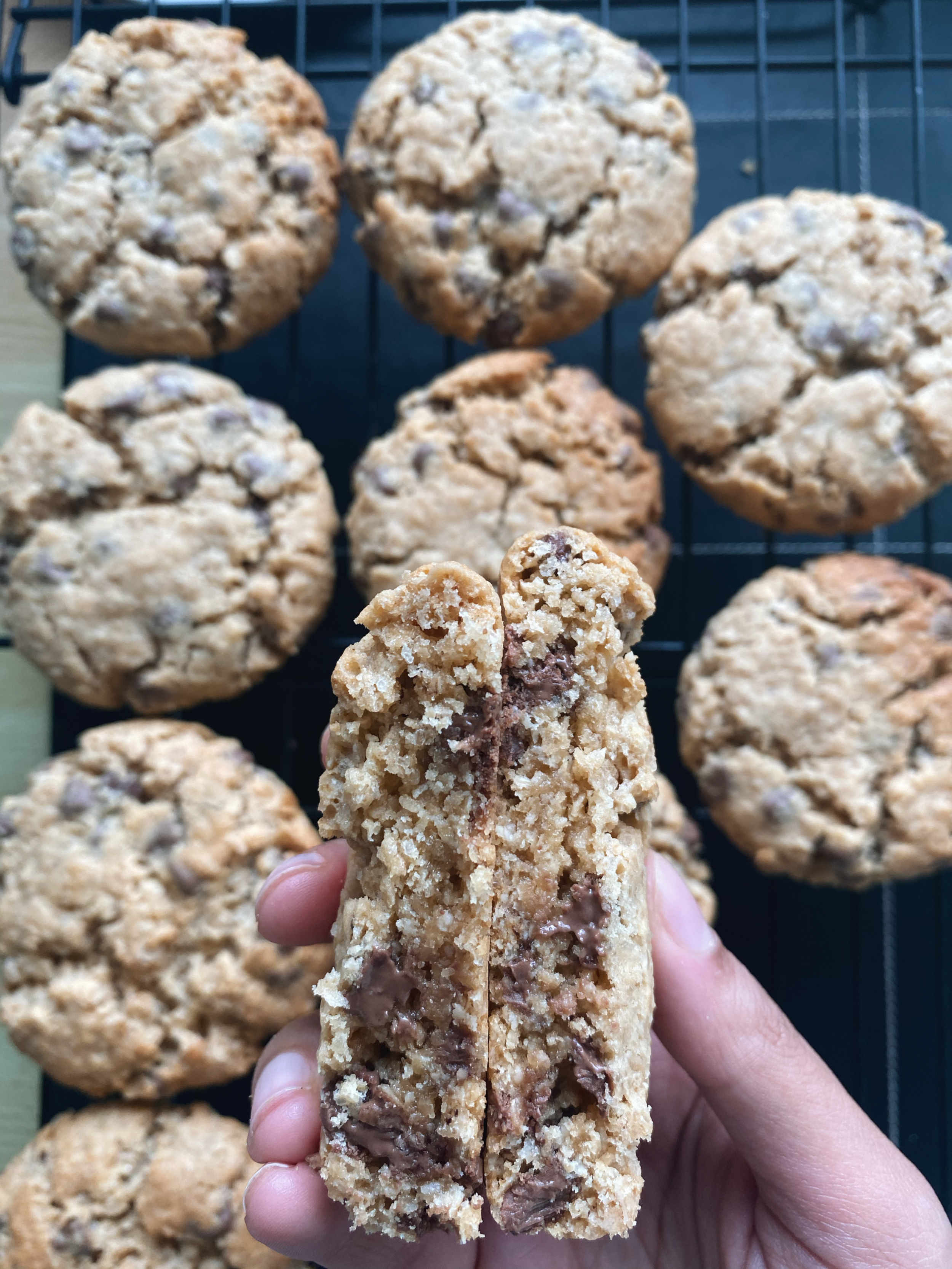 Chocolate Oat Cookies