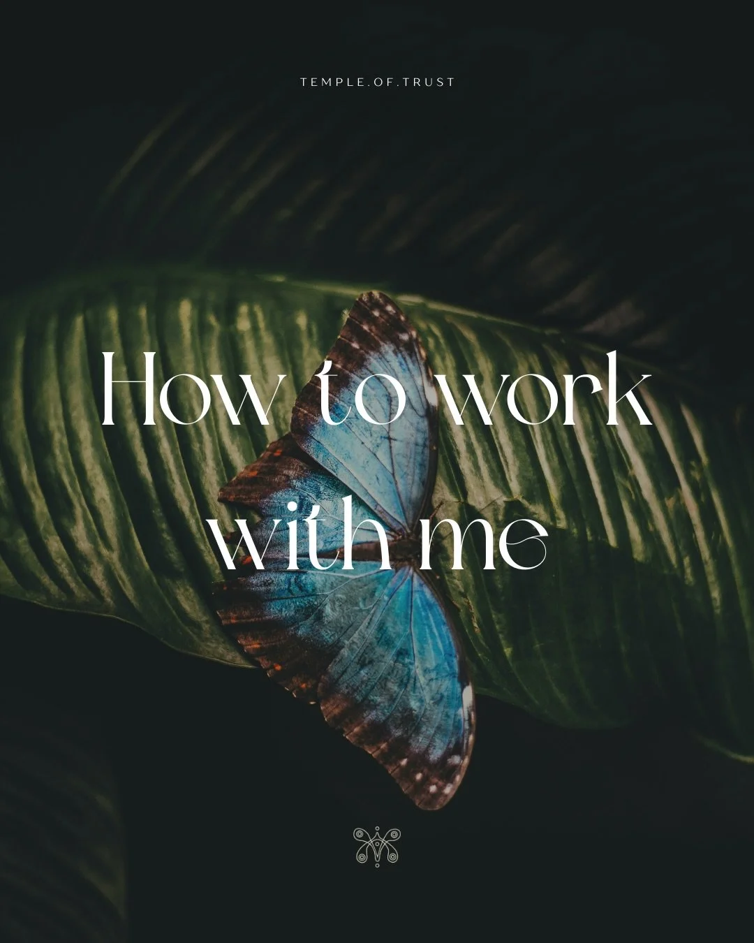 How to work with me in Berlin &amp; online in 2026.

Hi dear woman, 
you are whole heartedly invited to reach out to me if any of these offerings speak to you. 
I am ready to be on your side 
~ through all the waves.
I am here honored to serve you. 
