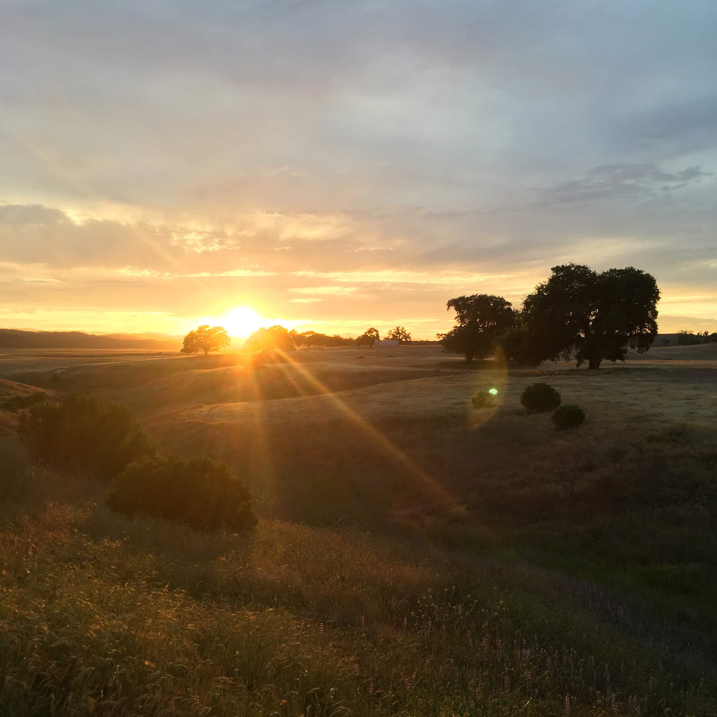 Sliding scale as a contributor to economic justice