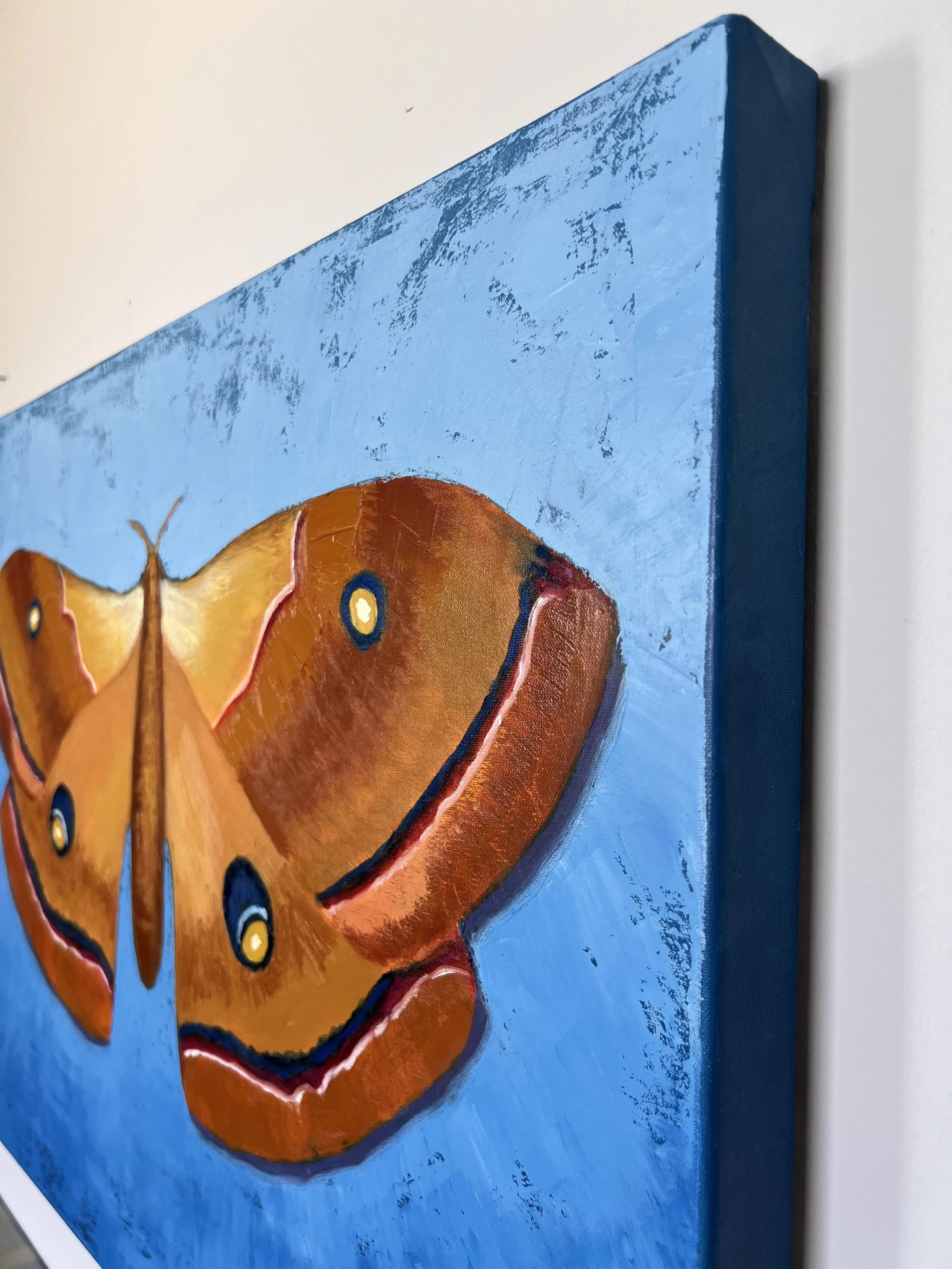 Indigo Eyes_sideview.jpeg