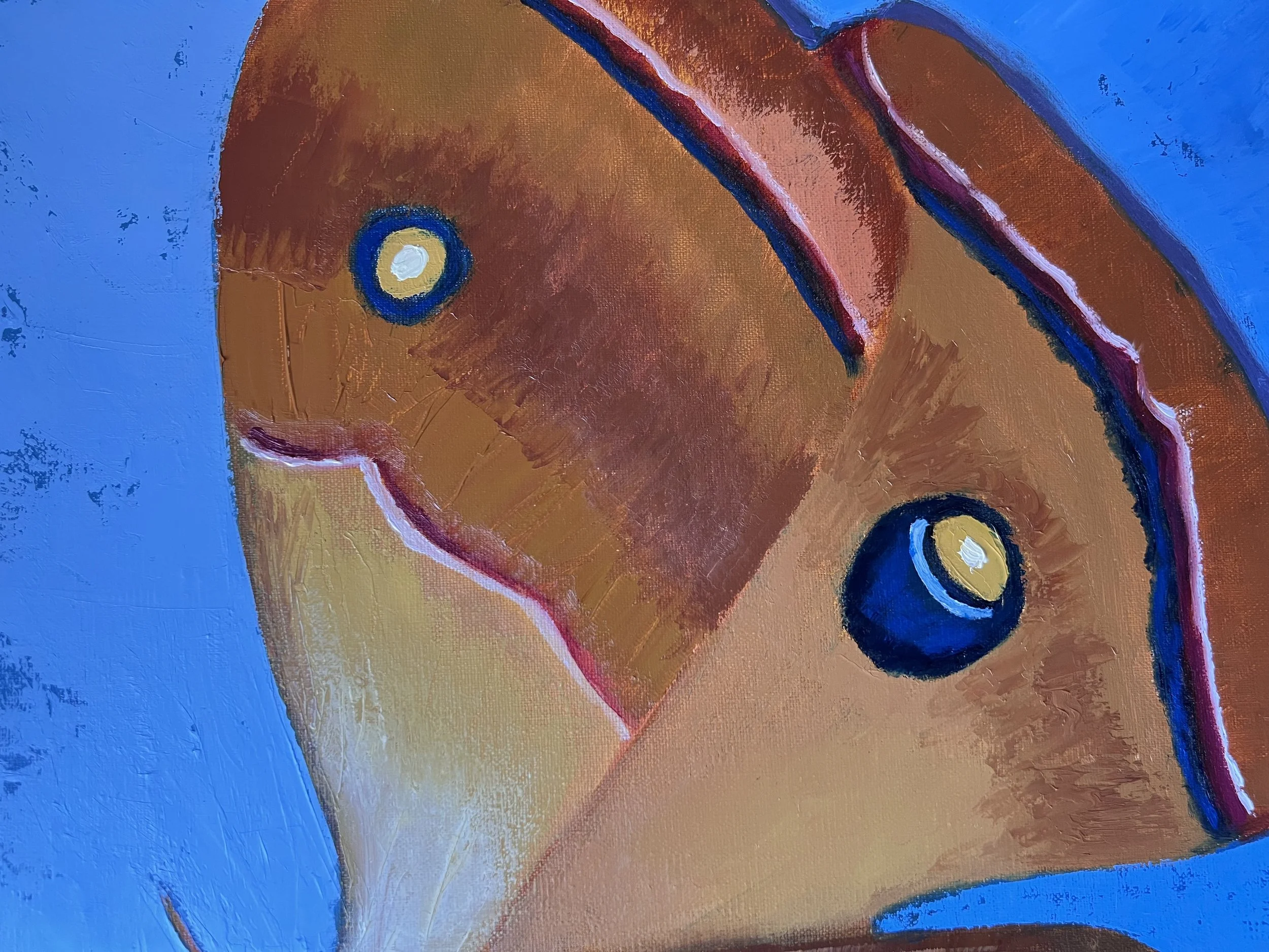 Indigo Eyes_CloseUp.jpeg