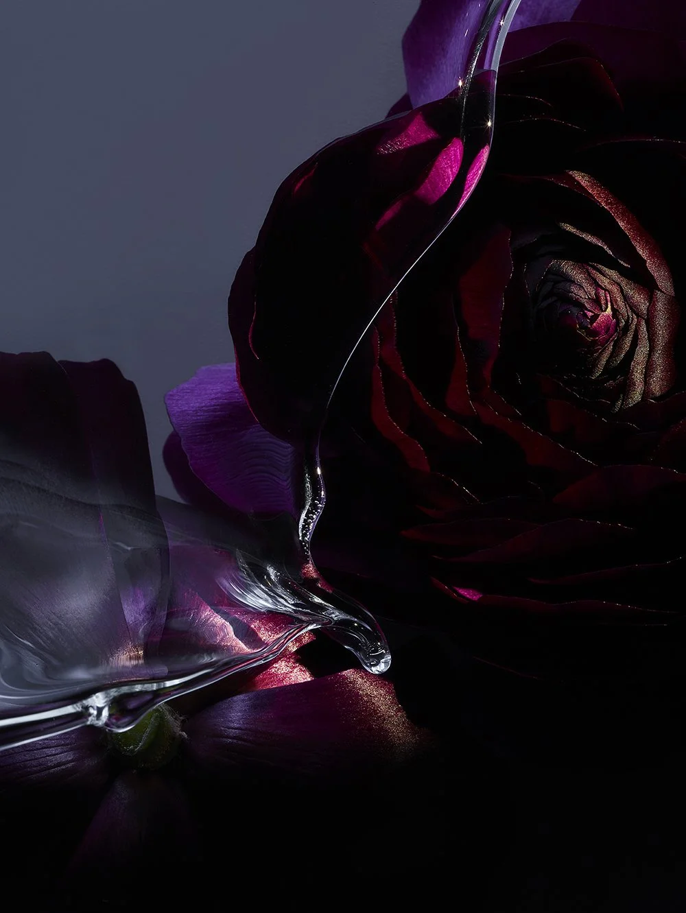 Cristina Hernández | Abstract Flora