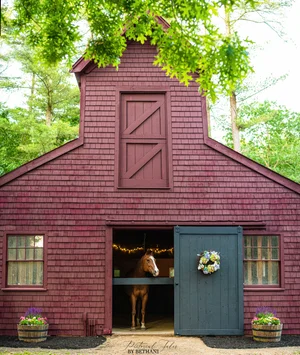 Smokey Chestnut Farm Rescue