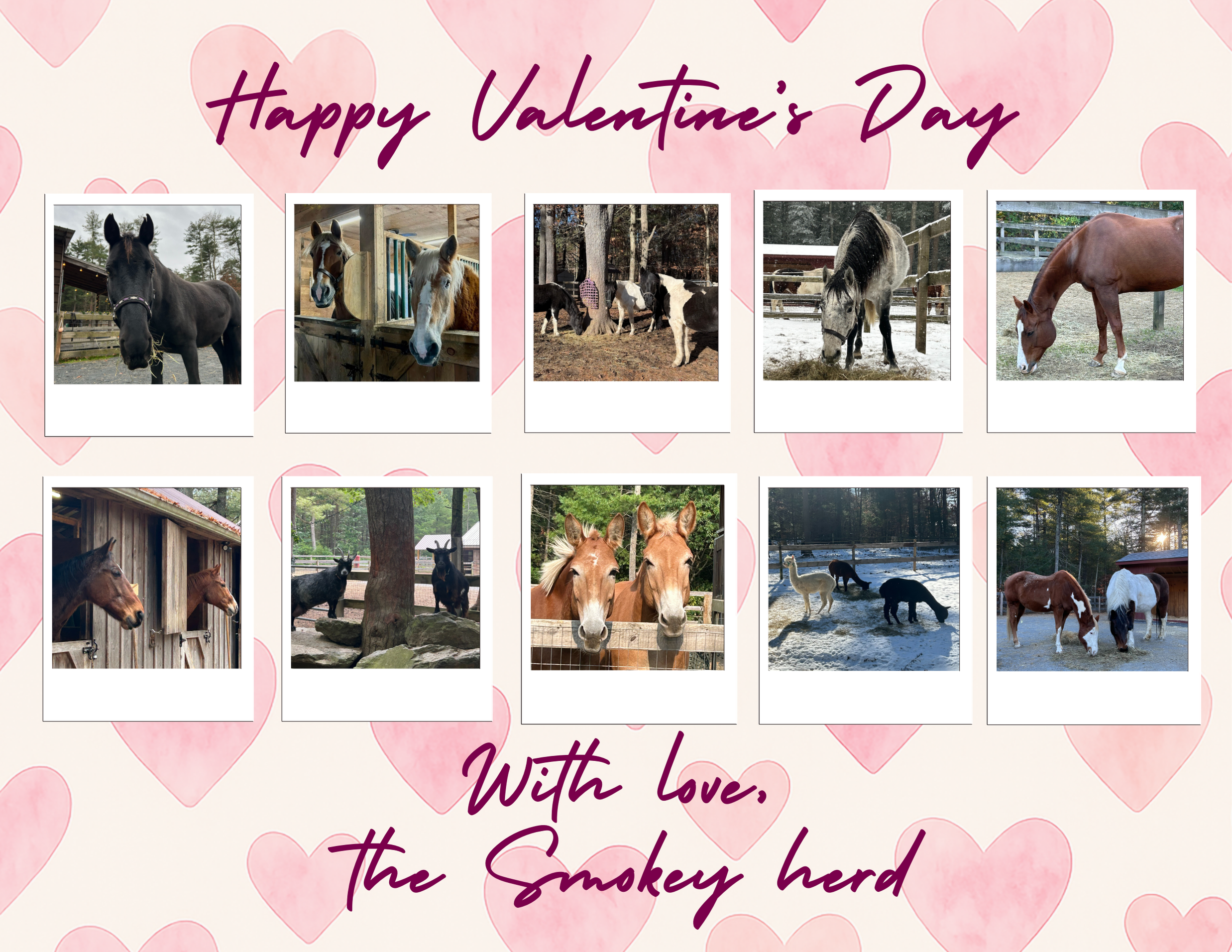 Valentine's Day Snail Mail Fundraiser ❤️