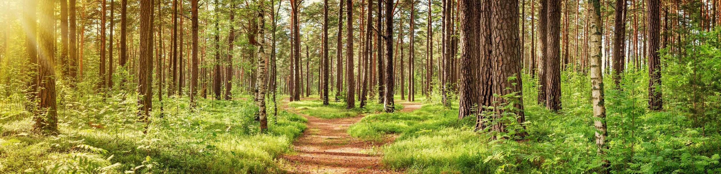 Authentic Life Resources