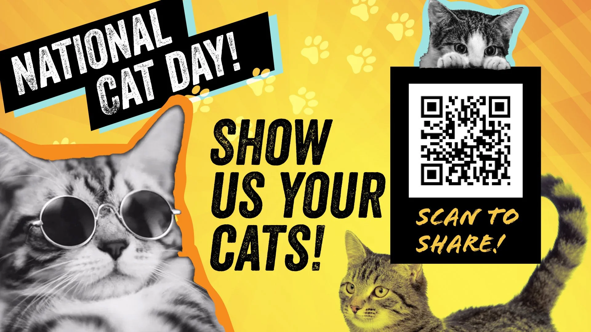 National Day__Cat Day.jpg