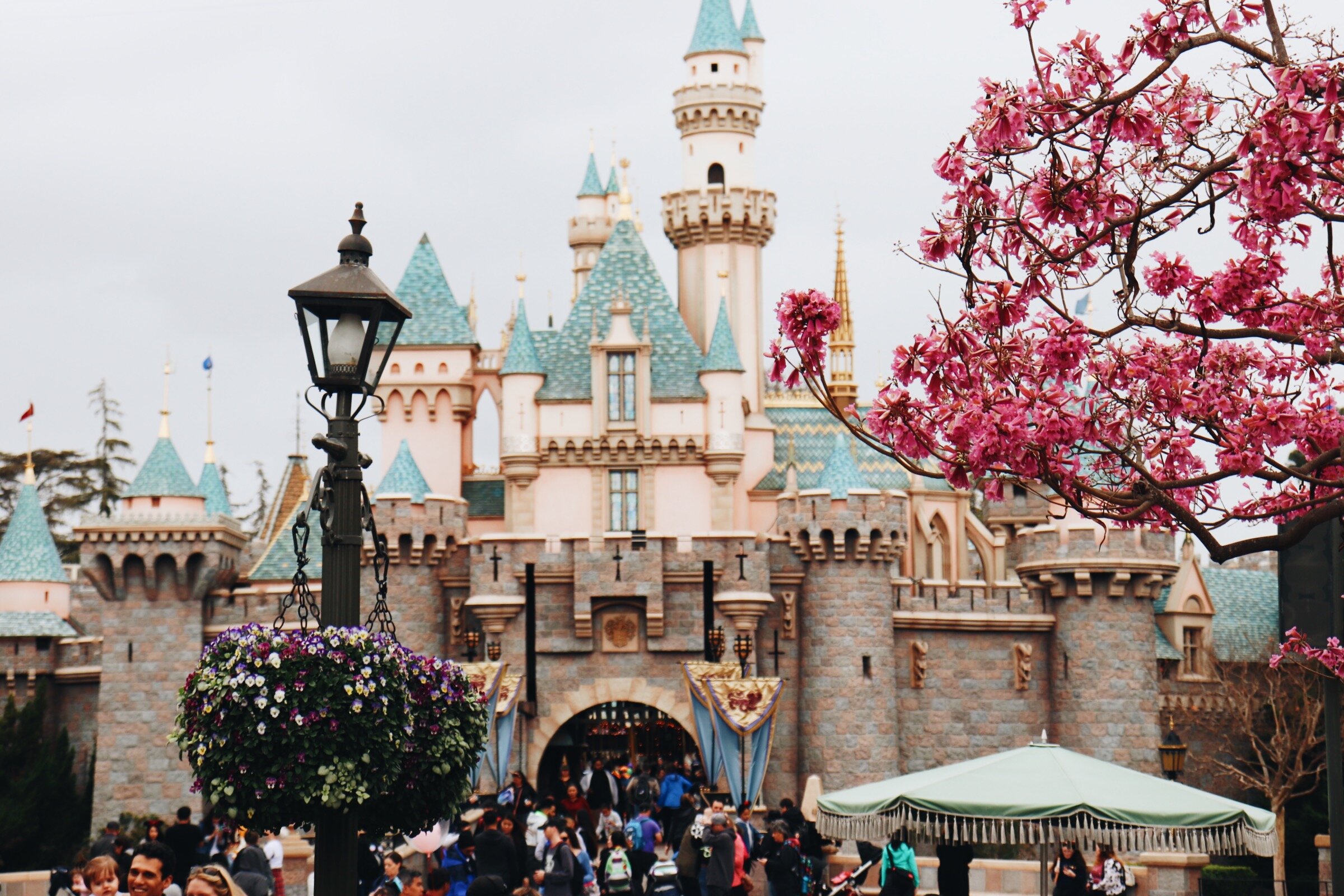 Research the history of Disneyland (5)