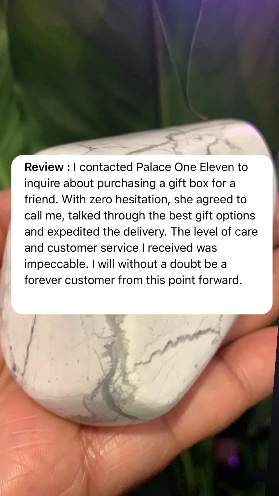 Close-up of a white marble rock being held in a person's hand with a background of green leaves. Overlaid is a review text praising a customer service experience with Palace One Eleven.