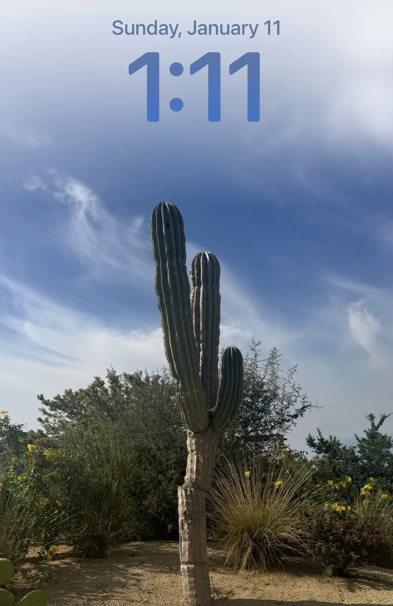 A LOve LEtter to January 